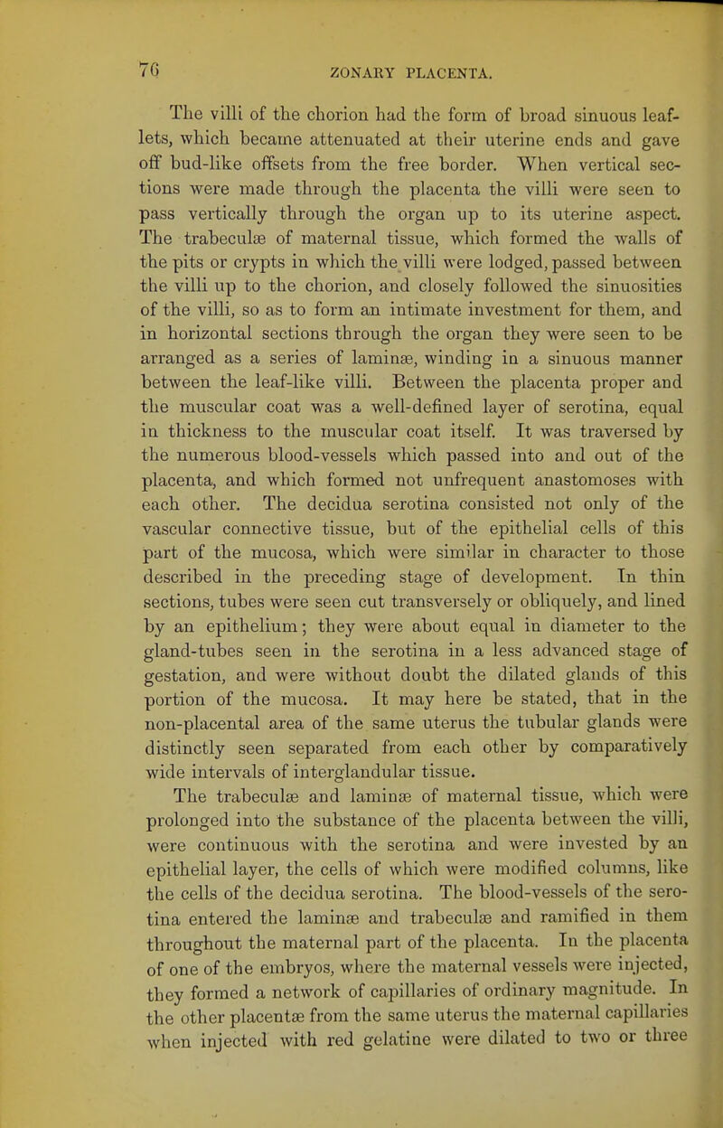 The villi of the chorion had the form of broad sinuous leaf- lets, which became attenuated at their uterine ends and gave off bud-like offsets from the free border. When vertical sec- tions were made through the placenta the villi were seen to pass vertically through the organ up to its uterine aspect. The trabeculse of maternal tissue, which formed the walls of the pits or crypts in which the villi were lodged, passed between the villi up to the chorion, and closely followed the sinuosities of the villi, so as to form an intimate investment for them, and in horizontal sections through the organ they were seen to be arranged as a series of laminae, winding in a sinuous manner between the leaf-like villi. Between the placenta proper and the muscular coat was a well-defined layer of serotina, equal in thickness to the muscular coat itself It was traversed by the numerous blood-vessels which passed into and out of the placenta, and which formed not unfrequent anastomoses with each other. The decidua serotina consisted not only of the vascular connective tissue, but of the epithelial cells of this part of the mucosa, which were similar in character to those described in the preceding stage of development. In thin sections, tubes were seen cut transversely or obliquely, and lined by an epithelium; they were about equal in diameter to the gland-tubes seen in the serotina in a less advanced stage of gestation, and were without doubt the dilated glands of this portion of the mucosa. It may here be stated, that in the non-placental area of the same uterus the tubular glands were distinctly seen separated from each other by comparatively wide intervals of interglandular tissue. The trabeculse and laminae of maternal tissue, which were prolonged into the substance of the placenta between the villi, were continuous with the serotina and were invested by an epithelial layer, the cells of which were modified columns, like the cells of the decidua serotina. The blood-vessels of the sero- tina entered the laminae and trabeculse and ramified in them throughout the maternal part of the placenta. In the placenta of one of the embryos, where the maternal vessels were injected, they formed a network of capillaries of ordinary magnitude. In the other placentae from the same uterus the maternal capillaries when injected with red gelatine were dilated to two or three