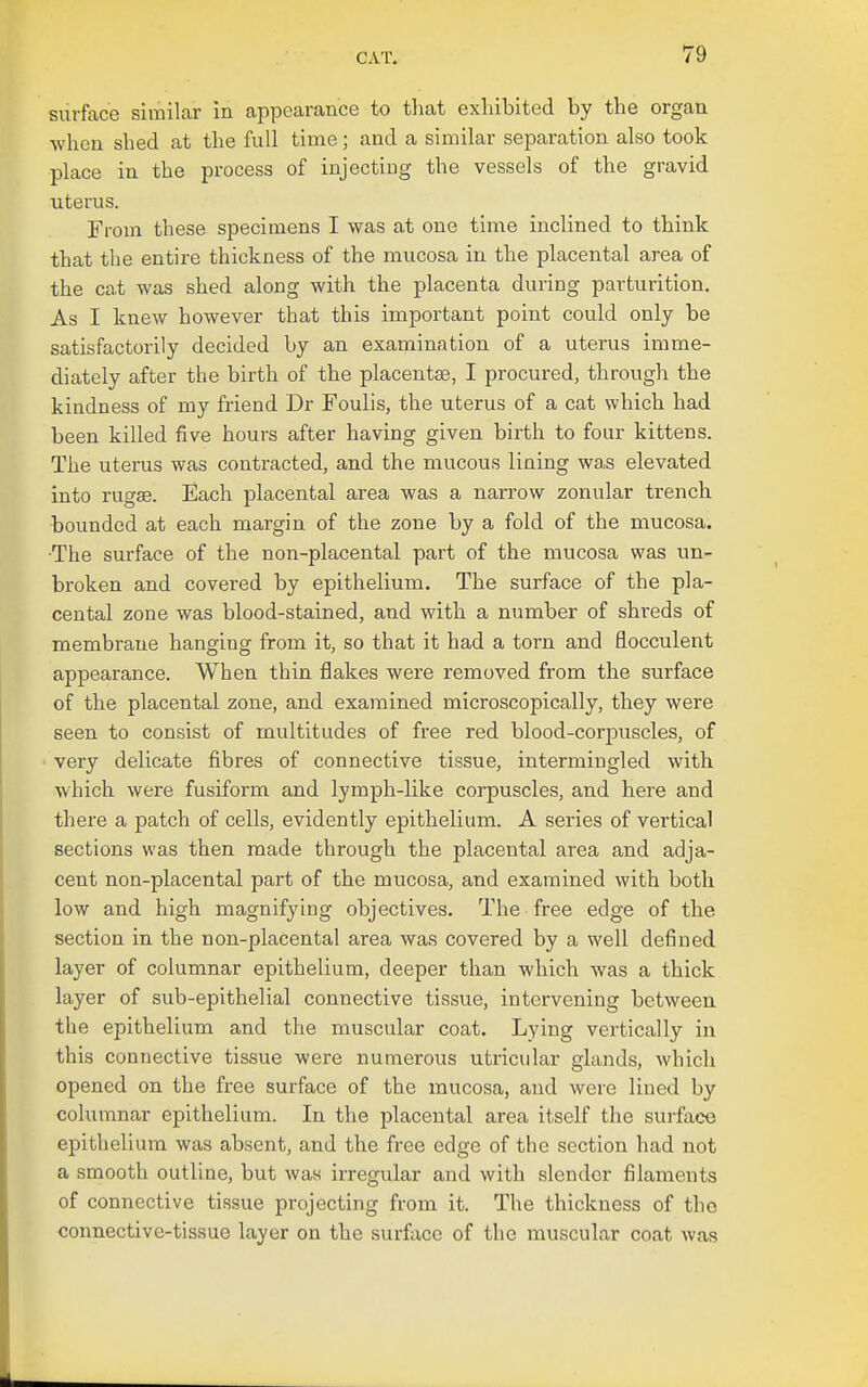 surface similar in appearance to that exhibited by the organ when shed at the full time; and a similar separation also took place in the process of injecting the vessels of the gravid uterus. From these specimens I was at one time inclined to think that the entire thickness of the mucosa in the placental area of the cat was shed along with the placenta during parturition. As I knew however that this important point could only be satisfactorily decided by an examination of a uterus imme- diately after the birth of the placentae, I procured, through the kindness of my friend Dr Foulis, the uterus of a cat which had been killed five hours after having given birth to four kittens. The uterus was contracted, and the mucous lining was elevated into rugae. Each placental area was a narrow zonular trench bounded at each margin of the zone by a fold of the mucosa. •The surface of the non-placental part of the mucosa was un- broken and covered by epithelium. The surface of the pla- cental zone was blood-stained, and with a number of shreds of membrane hanging from it, so that it had a torn and flocculent appearance. When thin flakes were removed from the surface of the placental zone, and examined microscopically, they were seen to consist of multitudes of free red blood-corpuscles, of very delicate fibres of connective tissue, intermingled with which were fusiform and lymph-like corpuscles, and here and there a patch of cells, evidently epithelium. A series of vertical sections was then made through the placental area and adja- cent non-placental part of the mucosa, and examined with both low and high magnifying objectives. The free edge of the section in the non-placental area was covered by a well defined layer of columnar epithelium, deeper than which was a thick layer of sub-epithelial connective tissue, intervening between the epithelium and the muscular coat. Lying vertically in this connective tissue were numerous utricular glands, which opened on the free surface of the mucosa, and were lined by columnar epithelium. In the placental area itself the surface epithelium was absent, and the free edge of the section had not a smooth outline, but was irregular and with slender filaments of connective tissue projecting from it. The thickness of the connective-tissue layer on the surface of the muscular coat was