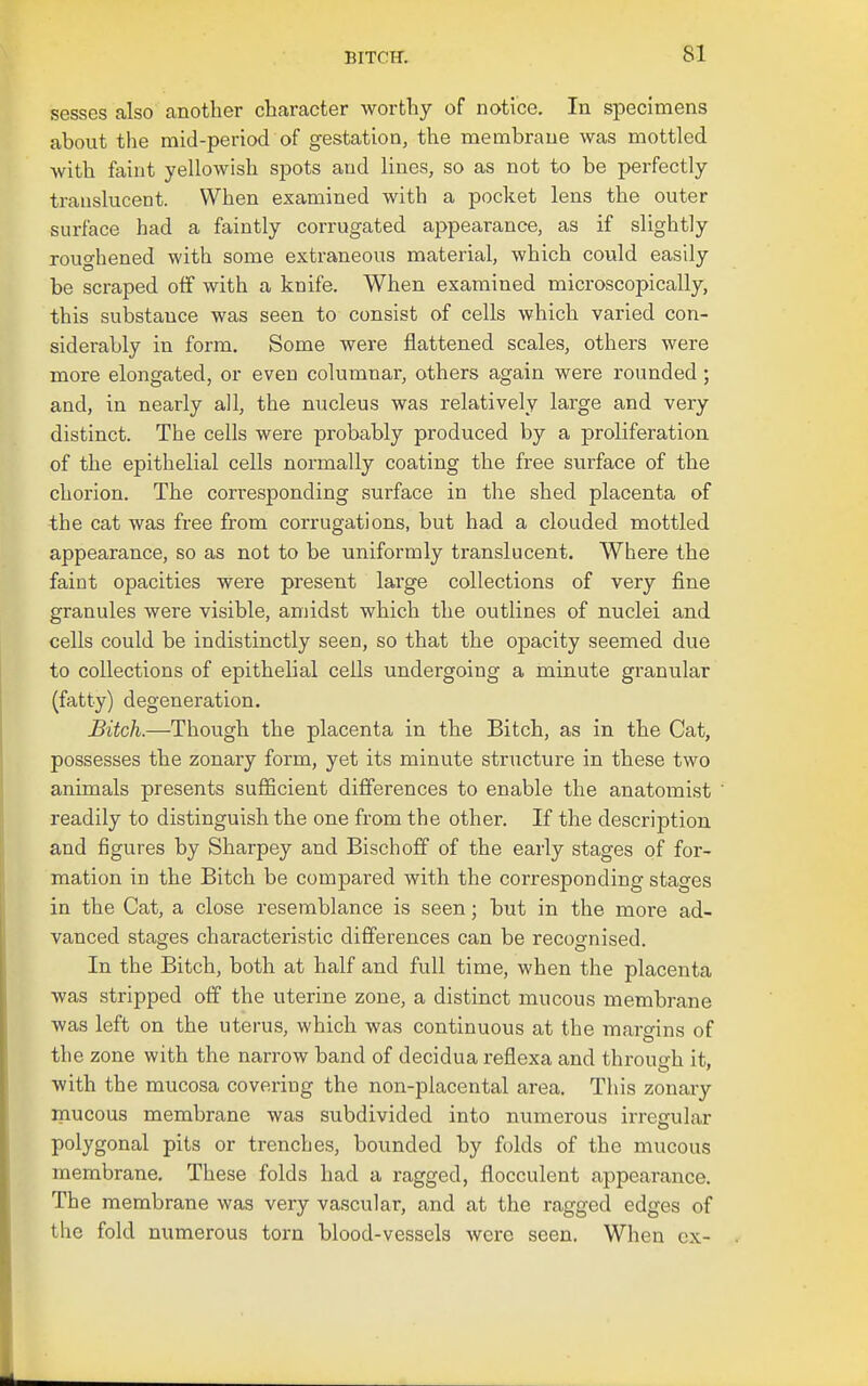 sesses also another character worthy of notice. In specimens about the mid-period of gestation, the membrane was mottled with faint yellowish spots and lines, so as not to be perfectly translucent. When examined with a pocket lens the outer surface had a faintly corrugated appearance, as if slightly roughened with some extraneous material, which could easily be scraped off with a knife. When examined microscopically, this substance was seen to consist of cells which varied con- siderably in form. Some were flattened scales, others were more elongated, or even columnar, others again were rounded; and, in nearly all, the nucleus was relatively large and very distinct. The cells were probably produced by a proliferation of the epithelial cells normally coating the free surface of the chorion. The corresponding surface in the shed placenta of the cat was free from corrugations, but had a clouded mottled appearance, so as not to be uniformly translucent. Where the faint opacities were present large collections of very fine granules were visible, amidst which the outlines of nuclei and cells could be indistinctly seen, so that the opacity seemed due to collections of epithelial cells undergoing a minute granular (fatty) degeneration. Bitch.—Though the placenta in the Bitch, as in the Cat, possesses the zonary form, yet its minute stnicture in these two animals presents sufficient differences to enable the anatomist readily to distinguish the one from the other. If the description and figures by Sharpey and Bischoff of the early stages of for- mation in the Bitch be compared with the corresponding stages in the Cat, a close resemblance is seen; but in the more ad- vanced stages characteristic differences can be recognised. In the Bitch, both at half and full time, when the placenta was stripped off the uterine zone, a distinct mucous membrane was left on the uterus, which was continuous at the margins of the zone with the narrow band of decidua reflexa and through it. with the mucosa covering the non-placental area. This zonary mucous membrane was subdivided into numerous irregular polygonal pits or trenches, bounded by folds of the mucous membrane. These folds had a ragged, flocculent appearance. The membrane was very vascular, and at the ragged edges of the fold numerous torn blood-vessels Averc seen. When cx-