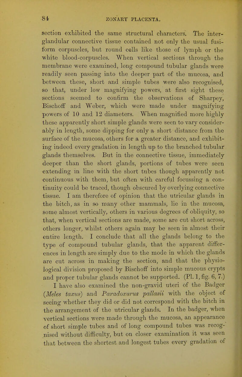 section exliibited the same structural characters. The inter- glandular connective tissue contained not only the usual fusi- form, corpuscles, but round cells like those of lymph or the white blood-corpuscles. When vertical sections through the membrane were examined, long compound tubular glands were readily seen passing into the deeper part of the mucosa, and between these, short and simple tubes were also recognised, so that, under low magnifying powers, at first sight these sections seemed to confirm the observations of Sharpey, Bischoff and Weber, which were made under magnifying powers of 10 and 12 diameters. When magnified more highly these apparently short simple glands were seen to vary consider- ably in length, some dipping for only a short distance from the surface of the mucosa, others for a greater distance, and exhibit- ing indeed every gradation in length up to the branched tubular glands themselves. But in the connective tissue, immediately deeper than the short glands, portions of tubes were seen extending in line with the short tubes though apparently not continuous with them, but often with careful focussing a con- tinuity could be traced, though obscured by overlying connective tissue. I am therefore of opinion that the utricular glands in the bitch, as in so many other mammals, lie in the mucosa, some almost vertically, others in various degrees of obliquity, so that, when vertical sections are made, some are cut short across, others longer, whilst others again may be seen in almost their entire length. I conclude that all the glands belong to the type of compound tubular glands, that the apparent differ- ences in length are simply due to the mode in which the glands are cut across in making the section, and that the physio- logical division proposed by Bischoff into simple mucous crypts and proper tubular glands cannot be supported. (PI. 1, fig. 6, 7.) I have also examined the non-gravid uteri of the Badger (Meles taxus) and Paradoxurus palladi with the object of seeing whether they did or did not correspond with the bitch in the arrangement of the utricular glands. In the badger, when vertical sections were made through the mucosa, an appearance of short simple tubes and of long compound tubes was recog- nised without difficulty, but on closer examination it was seen that between the shortest and longest tubes every gradatimi of