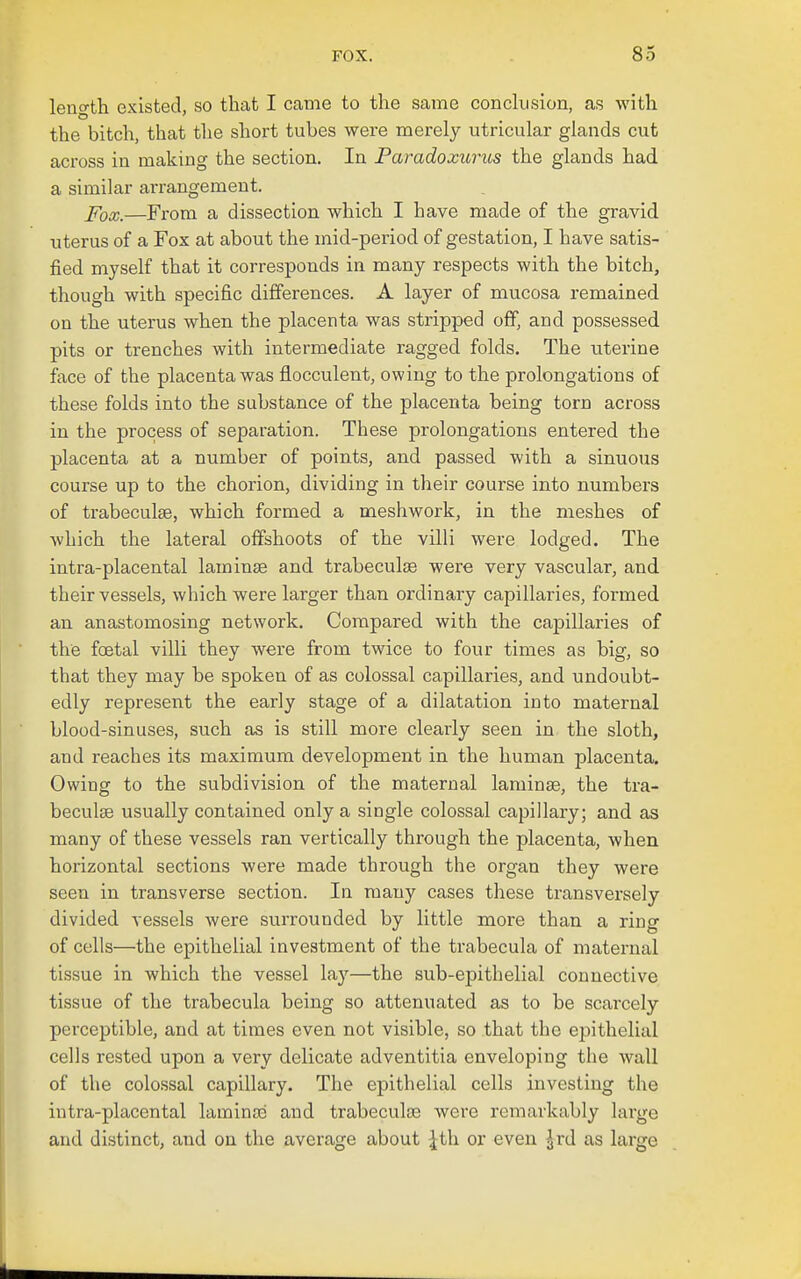 leno-th existed, so that I came to the same conckision, as with the bitch, that the short tubes were mei'ely utricular glands cut across in making the section. In ParadoxuTios the glands had a similar arrangement. jTocc.—From a dissection which I have made of the gravid uterus of a Fox at about the mid-period of gestation, I have satis- fied myself that it corresponds in many respects with the bitch, though with specific differences. A layer of mucosa remained on the uterus when the placenta was stripped off, and possessed pits or trenches with intermediate ragged folds. The uterine face of the placenta was flocculent, owing to the prolongations of these folds into the substance of the placenta being torn across in the process of separation. These prolongations entered the placenta at a number of points, and passed with a sinuous course up to the chorion, dividing in their course into numbers of trabeculse, which formed a meshwork, in the meshes of Avhich the lateral offshoots of the villi were lodged. The intra-placental laminae and trabeculiE were very vascular, and their vessels, which were larger than ordinary capillaries, formed an anastomosing network. Compared with the capillaries of the foetal villi they were from twice to four times as big, so that they may be spoken of as colossal capillaries, and undoubt- edly represent the early stage of a dilatation into maternal blood-sinuses, such as is still more clearly seen in the sloth, and reaches its maximum development in the human placenta. Owing to the subdivision of the maternal laminae, the tra- beculse usually contained only a single colossal capillary; and as many of these vessels ran vertically through the placenta, when horizontal sections were made through the organ they were seen in transverse section. In many cases these transversely divided vessels were surrounded by little more than a ring of cells—the epithelial investment of the trabecula of maternal tissue in which the vessel lay—the sub-epithelial connective tissue of the trabecula being so attenuated as to be scarcely perceptible, and at times even not visible, so that the epithelial cells rested upon a very delicate adventitia enveloping the wall of the colossal capillary. The epithelial cells investing the intra-placental laminae and trabeculae were remarkably lai-ge and distinct, and on the average about 4th or even Jrd as large
