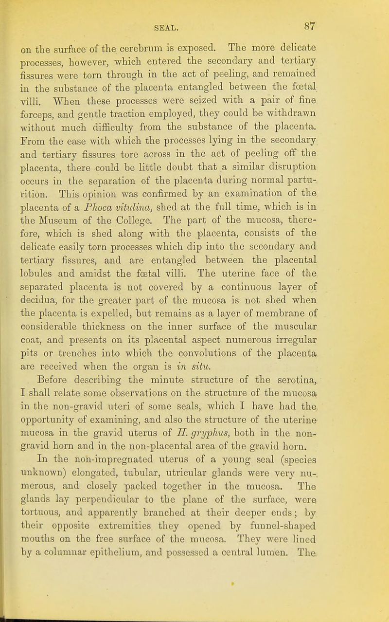 on the surface of the cerebrum is exposed. The more delicate processes, however, which entered the secondary and tertiary- fissures were torn through in the act of peeling, and remained in the substance of the placenta entangled between the foetal villi. When these processes were seized with a pair of fine forceps, and gentle traction employed, they could be withdrawn without much difficulty from the substance of the placenta. From the ease with which the processes lying in the secondary and tertiary fissures tore across in the act of peeling off the placenta, there could be little doubt that a similar disruption occurs in the separation of the placenta during normal partu- rition. This opinion was confirmed by an examination of the placenta of a Phoca vitulina, shed at the full time, which is in the Museum of the College. The part of the mucosa, there- fore, which is shed along with the placenta, consists of the delicate easily torn processes which dip into the secondary and tertiary fissures, and ai-e entangled between the placental lobules and amidst the foetal villi. The uterine face of the separated placenta is not covered by a continuous layer of decidua, for the greater paiii of the mucosa is not shed when the placenta is expelled, but remains as a layer of membrane of considerable thickness on the inner surface of the muscular coat, and presents on its placental aspect numerous irregular pits or trenches into which the convolutions of the placenta are received when the organ is in situ. Before describing the minute structiire of the serotina, I shall relate some observations on the structure of the mucosa in the non-gravid uteri of some seals, which I have had the opportunity of examining, and also the structure of the uterine mucosa in the gravid uterus of H. gryphus, both in the non- gravid horn and in the non-placental area of the gravid horn. In the non-impregnated uterus of a young seal (sj)ecies unknown) elongated, tubular, utricular glands were veiy nu-. merous, and closely packed together in the mucosa. Tlie glands lay perpendicular to the plane of the surface, were tortuous, and apparently branched at their deeper ends; by their opposite extremities they opened by funnel-shaped mouths on the free surface of the mucosa. They were lined by a columnar epithelium, and possessed a central lumen. The