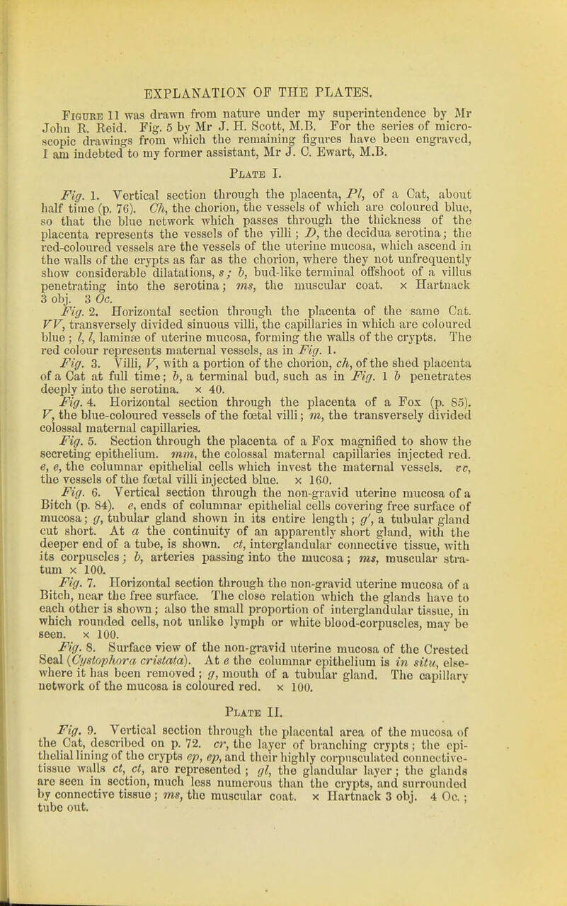 EXPLANATION OF THE PLATES. Figure 11 was drawn from nature under my superintendence by Mr John R. Reid. Fig. 5 by Mr J. H. Scott, M.B. For the series of micro- scopic ciramugs from wliich the remaining figures have been engraved, 1 am indebted to my former assistant, Mr J. C. Ewart, M.B. Plate I. Fig. 1. Vertical section through the placenta, PI, of a Cat, about half time (p. 76). Gh, the chorion, the vessels of which are coloured blue, so that tlie blue network which passes through the thickness of the placenta represents the vessels of the yilH ; B, the decidua serotina; the red-coloured vessels are the vessels of the uterine mucosa, which ascend in the walls of the crypts as far as the chorion, where they not unfrequently show considerable dilatations, s; b, bud-like terminal offshoot of a villus penetrating into the serotina; ms, the muscular coat, x Hartnack 3 obj. 3 Oc. Fig. 2. Horizontal section through the placenta of the same Cat. FV, transversely divided sinuous villi, the capillaries in which are coloured blue ; I, I, laminae of uterine mucosa, forming the walls of the crypts. The red colour represents maternal vessels, as in Fig. 1. Fig. 3. Villi, F, with a portion of the chorion, ch, of the shed placenta of a Cat at full time; b, a terminal bud, such as in Fig. 1 b penetrates deeply into the serotina. x 40. Fig. 4. Horizontal section through the placenta of a Fox (p. So). V, the blue-coloured vessels of the foetal villi; m, the transversely divided colossal maternal capillaries. Fig. 5. Section through the placenta of a Fox magnified to show the secreting epithelium, mm, the colossal maternal capillaries injected red. e, e, the columnar epithelial cells which invest the maternal vessels, vc, the vessels of the foetal villi injected blue, x 16-0. Fig. 6. Vertical section through the non-gravid uterine mucosa of a Bitch (p. 84). e, ends of columnar epithelial cells covering free surface of mucosa; g, tubular gland shown in its entire length; g', a tubular gland cut short. At a the continuity of an apparently short gland, with the deeper end of a tube, is shown, ct, interglandular coimective tissue, with its corpuscles; b, arteries passing into the mucosa; ms, muscular stra- tum X 100. Fig. 7. Horizontal section through the non-gravid uterine mucosa of a Bitch, near the free surface. The close relation which the glands have to each other is shown ; also the small propoi-tion of interglandular tissue, in which rounded cells, not unlike lymph or white blood-corpuscles, may be seen, x 100. Fig. 8. Sm-face view of the non-gravid uterine mucosa of the Crested Seal {C'ystophora cristata). At e the columnar epithelium is in situ, else- where it has been removed; g, mouth of a tubular gland. The capillary network of the mucosa is coloured red. x 100. Plate IL Fig. 9. Vertical section through the placental area of the mucosa of the Cat, described on p. 72. cr, the layer of branching crypts; the epi- thelial lining of the crypts ep, ep, and their highly corpnsculatcd connective- tissue walls ct, ct, are represented ; gl, the glandular layer ; the glands are seen in section, much less numerous than the crypts, and surrounded by connective tissue ; ms, the muscular coat, x Hartnack 3 obj. 4 Oc.; tube out.