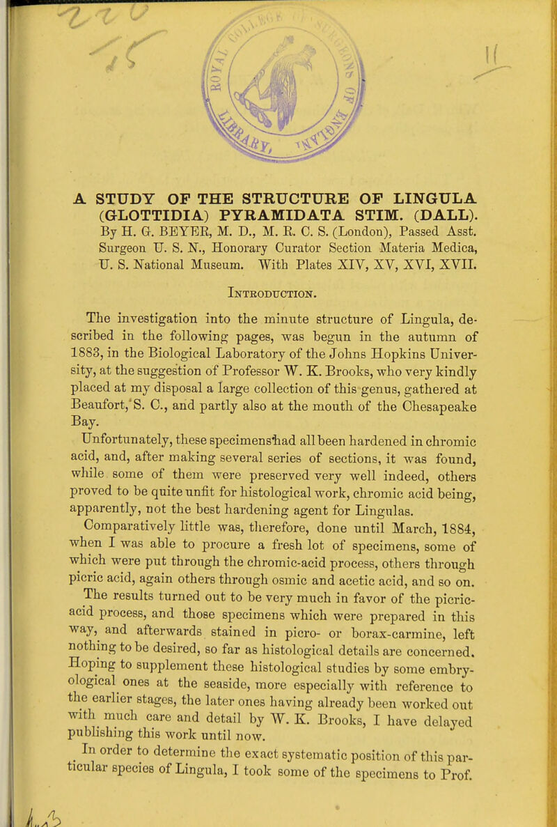 A STUDY OP THE STRUCTURE OP LINGULA (GKLOTTIDIA) PYRAMID ATA STIM. (DALL). By H. G. BEYER, M. D., M. R. C. S. (London), Passed Asst. Surgeon TJ. S. N., Honorary Curator Section Materia Medica, U. S. National Museum. With Plates XIV, XV, XVI, XVII. Introduction. The investigation into the minute structure of Lingula, de- scribed in the following pages, was begun in the autumn of 1883, in the Biological Laboratory of the Johns Hopkins Univer- sity, at the suggestion of Professor W. K. Brooks, who very kindly placed at my disposal a large collection of this genus, gathered at Beaufort,' S. C, and partly also at the mouth of the Chesapeake Bay. Unfortunately, these specimenstiad all been hardened in chromic acid, and, after making several series of sections, it was found, while some of them were preserved very well indeed, others proved to be quite unfit for histological work, chromic acid being, apparently, not the best hardening agent for Lingulas. Comparatively little was, therefore, done until March, 1884, when I was able to procure a fresh lot of specimens, some of which were put through the chromic-acid process, others through picric acid, again others through osmic and acetic acid, and so on. The results turned out to be very much in favor of the picric- acid process, and those specimens which were prepared in this way, and afterwards stained in picro- or borax-carmine, left nothing to be desired, so far as histological details are concerned. Hoping to supplement these histological studies by some embry- ological ones at the seaside, more especially with reference to the earlier stages, the later ones having already been worked out with much care and detail by W. K. Brooks, I have delayed publishing this work until now. ^ In order to determine the exact systematic position of this par- ticular species of Lingula, I took some of the specimens to Prof.