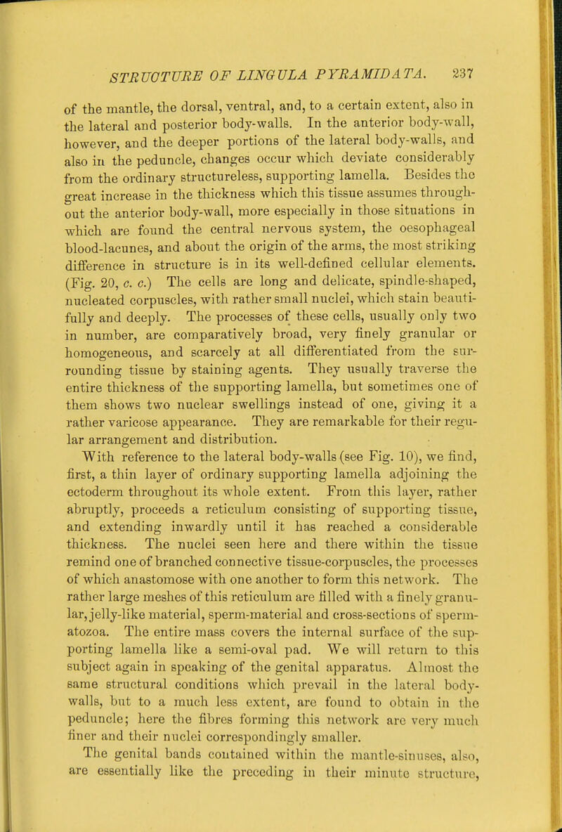 of the mantle, the dorsal, ventral, and, to a certain extent, also in the lateral and posterior body-walls. In the anterior body-wall, however, and the deeper portions of the lateral body-walls, and also in the peduncle, changes occur which deviate considerably from the ordinary structureless, supporting lamella. Besides the great increase in the thickness which this tissue assumes through- out the anterior body-wall, more especially in those situations in which are found the central nervous system, the oesophageal blood-lacunes, and about the origin of the arms, the most striking difference in structure is in its well-defined cellular elements. (Fig. 20, c. c.) The cells are long and delicate, spindle-shaped, nucleated corpuscles, with rather small nuclei, which stain beauti- fully and deeply. The processes of these cells, usually only two in number, are comparatively broad, very finely granular or homogeneous, and scarcely at all differentiated from the sur- rounding tissue by staining agents. They usually traverse the entire thickness of the supporting lamella, but sometimes one of them shows two nuclear swellings instead of one, giving it a rather varicose appearance. They are remarkable for their regu- lar arrangement and distribution. With reference to the lateral body-walls (see Fig. 10), we find, first, a thin layer of ordinary supporting lamella adjoining the ectoderm throughout its whole extent. From this layer, rather abruptly, proceeds a reticulum consisting of supporting tissue, and extending inwardly until it has reached a considerable thickness. The nuclei seen here and there within the tissue remind one of branched connective tissue-corpuscles, the processes of which anastomose with one another to form this network. The rather large meshes of this reticulum are filled with a finely granu- lar, jelly-like material, sperm-material and cross-sections of sperm- atozoa. The entire mass covers the internal surface of the sup- porting lamella like a semi-oval pad. We will return to this subject again in speaking of the genital apparatus. Almost the same structural conditions which prevail in the lateral body- walls, but to a much less extent, are found to obtain in the peduncle; here the fibres forming this network arc very much finer and their nuclei correspondingly smaller. The genital bands contained within the mantle-sinuses, also, are essentially like the preceding in their minute structure,
