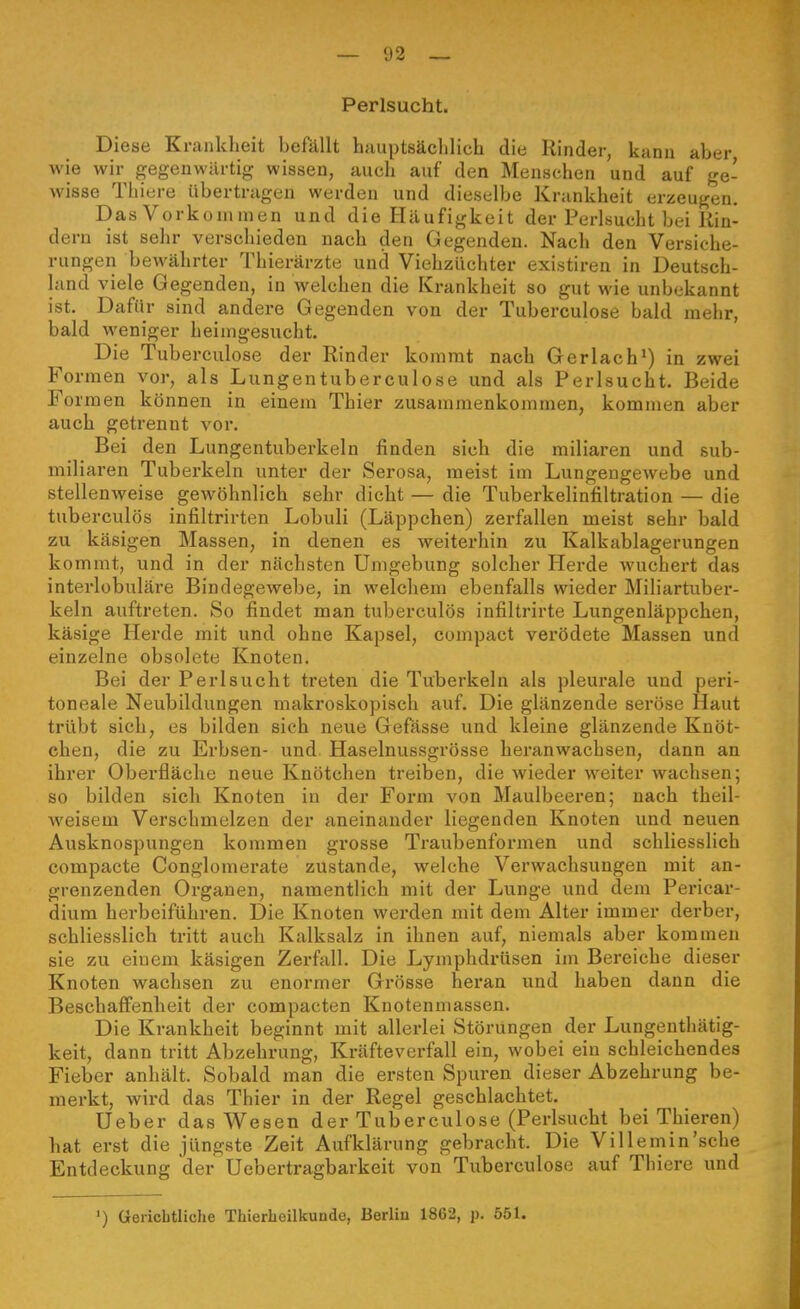 Perlsucht. Diese Krankheit befällt hauptsächlich die Rinder, kann aber wie wir gegenwärtig wissen, auch auf den Menschen und auf ge- wisse Tiiiere übertragen werden und dieselbe Krankheit erzeugen. Das Vorkoninien und die Häufigkeit der Perlsucht bei Kin- dern ist sehr verschieden nach den Gegenden. Nach den Versiche- rungeii bewährter Thierärzte und Viehzüchter existiren in Deutsch- land viele Gegenden, in welchen die Krankheit so gut wie unbekannt ist. Dafür sind andere Gegenden von der Tuberkulose bald mehr, bald weniger heimgesucht. Die Tuberculose der Rinder kommt nach Gerlach') in zwei Formen vor, als Lungentuberculose und als Perlsucht. Beide Formen können in einem Thier zusammenkommen, kommen aber auch getrennt vor. Bei den Lungentuberkeln finden sich die miliaren und sub- miliaren Tuberkeln unter der Serosa, meist im Lungengewebe und stellenweise gewöhnlich sehr dicht — die Tuberkelinfiltration — die tuberculös infiltrirten Lobuli (Läppchen) zerfallen meist sehr bald zu käsigen Massen, in denen es weiterhin zu Kalkablagerungen kommt, und in der nächsten Umgebung solcher Herde wuchert das interlübuläre Bindegewebe, in welchem ebenfalls wieder Miliartuber- keln auftreten. So findet man tuberculös infiltrirte Lungenläppchen, käsige Herde mit und ohne Kapsel, compact verödete Massen und einzelne obsolete Knoten. Bei der Perlsucht treten die Tuberkeln als pleurale und peri- toneale Neubildungen makroskopisch auf. Die glänzende seröse Haut trübt sich, es bilden sich neue Gefässe und kleine glänzende Knöt- chen, die zu Erbsen- und Haselnussgrösse heranwachsen, dann an ihrer Oberfläche neue Knötchen treiben, die wieder weiter wachsen; so bilden sich Knoten in der Form von Maulbeeren; nach theil- weisem Verschmelzen der aneinander liegenden Knoten und neuen Ausknospungen kommen grosse Traubenformen und schliesslich compacte Conglomerate zustande, welche Verwachsungen mit an- grenzenden Organen, namentlich mit der Lunge und dem Pericar- dium herbeiführen. Die Knoten werden mit dem Alter immer derber, schliesslich tritt auch Kalksalz in ihnen auf, niemals aber kommen sie zu einem käsigen Zerfall. Die Lymphdrüsen im Bereiche dieser Knoten wachsen zu enormer Grösse heran und haben dann die Beschaffenheit der compacten Knotenmassen. Die Krankheit beginnt mit allerlei Störungen der Lungentliätig- keit, dann tritt Abzehrung, Kräfteverfall ein, wobei ein schleichendes Fieber anhält. Sobald man die ersten Spuren dieser Abzehrung be- merkt, wird das Thier in der Regel geschlachtet. Ueber das Wesen der Tuberculose (Perlsucht bei Thieren) hat erst die jüngste Zeit Aufklärung gebracht. Die Ville min'sehe Entdeckung der Uebertragbarkeit von Tuberculose auf Thiere und ') Gerichtliche Thierheilkunde, Berlin 1862, p. 551.