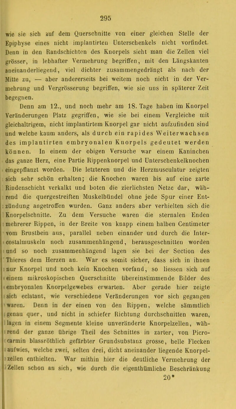 wie sie sich auf dem Querschnitte von einer gleichen Stelle der Epipbyse eines nicht implantirten Unterschenkels nicht vorfindet. Denn in den Randschichten des Knorpels sieht man die Zellen viel grösser, in lebhafter Vermehrung begriffen, mit den Längskanten aneinanderliegend, viel dichter zusammengedrängt als nach der Mitte zu, — aber andererseits bei weitem noch nicht in der Ver- mehrung und Vergrösserung begriffen, wie sie uns in späterer Zeit begegnen. Denn am 12., und noch mehr am 18. Tage haben im Knorpel Veränderungen Platz gegriffen, wie sie bei einem Vergleiche mit gleichaltrigem, nicht implantirtem Knorpel gar nicht aufzufinden sind und welche kaum anders, als durch ein rapides Weiterwachsen des implantirten embryonalen Knorpels gedeutet werden können. In einem der obigen Versuche war einem Kaninchen das ganze Herz, eine Partie Rippenknorpel und Unterschenkelknochen eingepflanzt worden. Die letzteren und die Herzmusculatur zeigten sich sehr schön erhalten; die Knochen waren bis auf eine zarte RiDdenschicht verkalkt und boten die zierlichsten Netze dar, wäh- rend die quergestreiften Muskelbündel ohne jede Spur einer Ent- ; zündung angetroffen wurden. Ganz anders aber verhielten sich die ' Knorpelschnitte. Zu dem Versuche waren die sternalen Enden ! mehrerer Rippen, in der Breite von knapp einem halben Centimeter vom Brustbein aus, parallel neben einander und durch die Inter- > costalmuskeln noch zusammenhängend, herausgeschnitten worden i und so noch zusammenhängend lagen sie bei der Section des ' Thieres dem Herzen an. War es somit sicher, dass sich in ihnen mur Knorpel und noch kein Knochen vorfand, so Hessen sich auf i einem mikroskopischen Querschnitte übereinstimmende Bilder des (embryonalen Knorpelgewebes erwarten. Aber gerade hier zeigte •sich eclatant, wie verschiedene Veränderungen vor sich gegangen 'waren. Denn in der einen von den Rippen, welche sämmtlich .genau quer, und nicht in schiefer Richtung durchschnitten waren, lagen in einem Segmente kleine unveränderte Knorpelzellen, wäh- rend der ganze übrige Theil des Schnittes in zarter, von Picro- carmin blassröthlich gefärbter Grundsubstanz grosse, helle Flecken aufwies, welche zwei, selten drei, dicht aneinander liegende Knorpel- I' zellen enthielten. War mithin hier die deutliche Vermehrung der Zellen schon an sich, wie durch die eigentümliche Beschränkung 20*