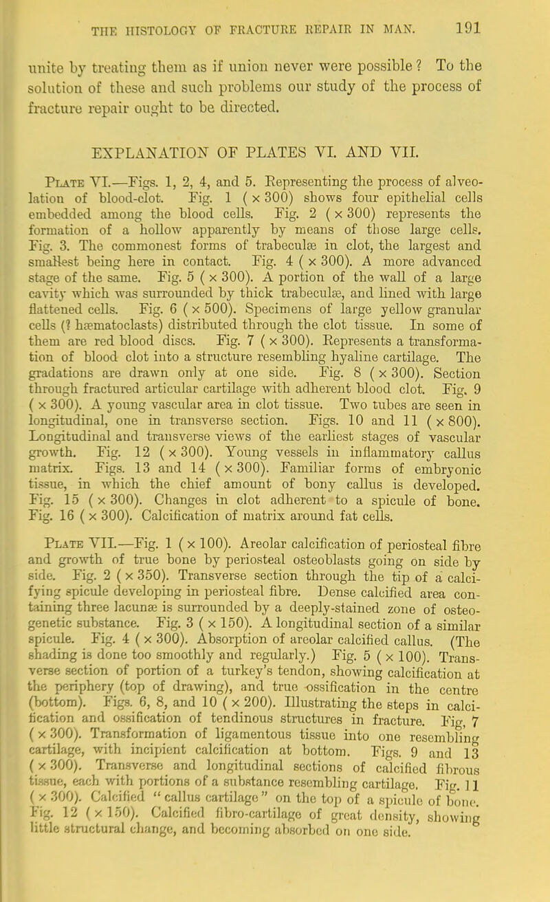 unite by treating them as if union never were possible ? To the sohition of these and such problems our study of the process of fracture repair ought to be directed. EXPLANATION OF PLATES VL AND VIL Plate VI.—Figs. 1, 2, 4, and 5. Eepresenting the process of alveo- lation of blood-clot. Fig. 1 ( x 300) shows four epithelial cells embedded among the blood cells. Fig. 2 ( x 300) represents the formation of a hoUow apparently by means of those large cells. Fig. 3. The commonest forms of trabeculje in clot, the largest and sraalkst being here in contact. Fig. 4 ( x 300). A more advanced stage of the same. Fig. 5 ( x 300). A portion of the waU of a large ca%dty which was surrounded by thick trabeculse, and lined with large flattened cells. Fig. 6 ( x 500). Specimens of large yellow granular cells (? hfematoclasts) distributed through the clot tissue. In some of them are red blood discs. Fig. 7 ( x 300). Represents a transforma- tion of blood clot into a structure resembling hyaline cartdage. The gradations are drawn only at one side. Fig. 8 ( x 300). Section through fractured articular cartilage with adherent blood clot. Fig. 9 ( X 300). A young vascular area in clot tissue. Two tubes are seen in longitudinal, one in transverse section. Figs. 10 and 11 ( x 800). Longitudinal and transverse views of the earliest stages of vascular growth. Fig. 12 (x 300). Young vessels in inflammatory callus matrix. Figs. 13 and 14 (x 300). Familiar forms of embryonic tissue, in which the chief amount of bony callus is developed. Fig. 15 ( X 300). Changes in clot adherent to a spicule of bone. Fig. 16 ( X 300). Calcification of matrix around fat cells. Plate VII.—Fig. 1 (x 100). Areolar calcification of periosteal fibre and gro\vi,h of true bone by periosteal osteoblasts going on side by side. Fig. 2 (x 350). Transverse section through the tip of a calci- fying spicule developing in periosteal fibre. Dense calcified area con- taining three lacunae is surrounded by a deeply-stained zone of osteo- genetic substance. Fig. 3 ( x 150). A longitudinal section of a similar spicule. Fig. 4 ( x 300). Absorption of areolar calcified callus. (The shading is done too smoothly and regidarly.) Fig. 5 ( x 100). Trans- verse section of portion of a turkey's tendon, showing calcification at the periphery (top of drawing), and true ossification in the centre (bottom). Figs. 6, 8, and 10 ( x 200). Illustrating the steps in calci- fication and ossification of tendinous structures in fracture. Fig, 7 (X 300). Transformation of ligamentous tissue into one resembling cartilage, with incipient calcification at bottom. Figs. 9 and 13 (X 300). Tran.sverse and longitudinal sections of calcified fihrous ti.H.sue, each with portions of a substance resembling cartilage. Fig. 11 ( X 300). Calcified  callus cartilage on the top of a spicule of boni'. Fig. 12 (xloO). Calcified fibro-cartilage of great density, showing little structural change, and becoming absorbed on one side.