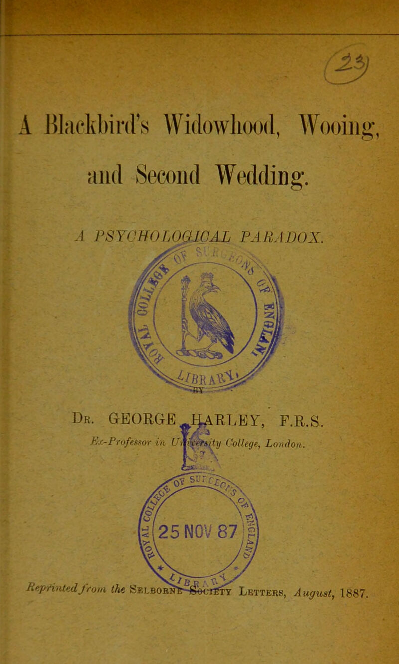 A Jilaekbird's Widowhood, Wooing, and Second Wedding. A FSYCHOLOQIGAL PARADOX.