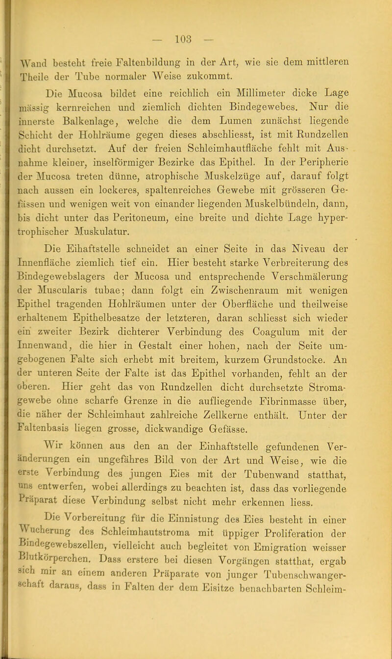 Wand besteht freie Faltenbildung in der Art, wie sie dem mittleren Theile der Tube normaler Weise zukommt. Die Mucosa bildet eine reichlich ein Millimeter dicke Lage massig kernreichen und ziemlich dichten Bindegewebes. Nur die innerste Balkenlage, welche die dem Lumen zunächst liegende Schicht der Hohlräume gegen dieses abschliesst, ist mit Rundzellen dicht durchsetzt. Auf der freien Schleimhautfläche fehlt mit Aus- nahme kleiner, inselförmiger Bezirke das Epithel. In der Peripherie der Mucosa treten dünne, atrophische Muskelzüge auf, darauf folgt nach aussen ein lockeres, spaltenreiches Gewebe mit grösseren Ge- wissen und wenigen weit von einander liegenden Muskelbündeln, dann, bis dicht unter das Peritoneum, eine breite und dichte Lage hyper- trophischer Muskulatur. Die Eihaftstelle schneidet an einer Seite in das Niveau der Innenfläche ziemlich tief ein. Hier besteht starke Verbreiterung des Bindegewebslagers der Mucosa und entsprechende Verschmälerung der Muscularis tubae; dann folgt ein Zwischenraum mit wenigen Epithel tragenden Hohlräumen unter der Oberfläche und theilweise erhaltenem Epithelbesatze der letzteren, daran schliesst sich wieder ein zweiter Bezirk dichterer Verbindung des Coagulum mit der Innenwand, die hier in Gestalt einer hohen, nach der Seite um- gebogenen Falte sich erhebt mit breitem, kurzem Grundstocke. An der unteren Seite der Falte ist das Epithel vorhanden, fehlt an der oberen. Hier geht das von Rundzellen dicht durchsetzte Stroma- gewebe ohne scharfe Grenze in die aufliegende Fibrinmasse über, die näher der Schleimhaut zahlreiche Zellkerne enthält. Unter der Faltenbasis liegen grosse, dickwandige Gefässe. Wir können aus den an der Einhaftstelle gefundenen Ver- änderungen ein ungefähres Bild von der Art und Weise, wie die erste Verbindung des jungen Eies mit der Tuben wand statthat, uns entwerfen, wobei allerdings zu beachten ist, dass das vorliegende Präparat diese Verbindung selbst nicht mehr erkennen Hess. Die Vorbereitung für die Einnistung des Eies besteht in einer Wucherung des Schleimhautstroma mit üppiger Proliferation der Bindegewebszellen, vielleicht auch begleitet von Emigration weisser Blutkörperchen. Dass erstere bei diesen Vorgängen statthat, ergab sich mir an einem anderen Präparate von junger Tubenschwanger- schaft daraus, dass in Falten der dem Eisitze benachbarten Schleim-