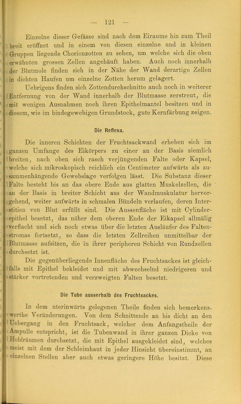 Einzelne dieser Gelasse sind nach dem Eiraume hin zum Theil breit eröffnet und in einem von diesen einzelne und in kleinen Gruppen liegende Chorionzotten zu sehen, um welche sich die oben erwähnten grossen Zellen angehäuft haben. Auch noch innerhalb der Blutmole finden sich in der Nähe der Wand derartige Zellen in dichten Haufen um einzelne Zotten herum gelagert. Uebrigens finden sich Zottendurchschnitte auch noch in weiterer iEntfernung von der Wand innerhalb der Blutmasse zerstreut, die imit wenigen Ausnahmen noch ihren Epithelmantel besitzen und in i diesem, wie im bindegewebigen Grundstock, gute Kernfärbung zeigen. Die Reflexa. Die inneren Schichten der Fruchtsackwand erheben sich im .ganzen Umfange des Eikörpers zu einer an der Basis ziemlich !breiten, nach oben sich rasch verjüngenden Falte oder Kapsel, i welche sich mikroskopisch reichlich ein Centimeter aufwärts als zu- i sammenhängende Gewebslage verfolgen lässt. Die Substanz dieser ! Falte besteht bis an das obere Ende aus glatten Muskelzellen, die £an der Basis in breiter Schicht aus der Wandmuskulatur hervor- gehend, weiter aufwärts in schmalen Bündeln verlaufen, deren Inter- •stitien von Blut erfüllt sind. Die Aussenfläche ist mit Cylinder- ( epithel besetzt, das näher dem oberen Ende der Eikapsel allmälig i verflacht und sich noch etwas über die letzten Ausläufer des Falten- •stromas fortsetzt, so dass die letzten Zellreihen unmittelbar der i Blutmasse aufsitzen, die in ihrer peripheren Schicht von Rundzellen durchsetzt ist. Die gegenüberliegende Innenfläche des Fruchtsackes ist gleich- falls mit Epithel bekleidet und mit abwechselnd niedrigeren und •stärker vortretenden und verzweigten Falten besetzt. Die Tube ausserhalb des Fruchtsackes. In dem uterinwärts gelegenen Theile finden sich bemerkens- werthe Veränderungen. Von dem Schnittende an bis dicht an den !Uebergang in den Fruchtsack, welcher dem Anfangstheile der Ampulle entspricht, ist die Tubenwand in ihrer ganzen Dicke von Hohlräumen durchsetzt, die mit Epithel ausgekleidet sind, welches meist mit dem der Schleimhaut in jeder Hinsicht übereinstimmt, an einzelnen Stellen aber auch etwas geringere Höhe besitzt. Diese