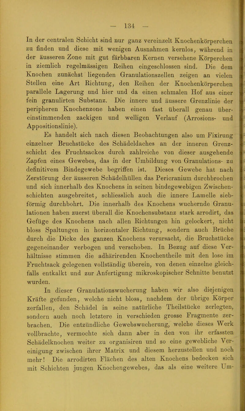 In der centralen Schicht sind nur ganz vereinzelt Knochenkörperchen zu finden und diese mit wenigen Ausnahmen kernlos, während in der äusseren Zone mit gut färbbaren Kernen versehene Körperchen in ziemlich regelmässigen Reihen eingeschlossen sind. Die dem Knochen zunächst liegenden Granulationszellen zeigen an vielen Stellen eine Art Richtung, den Reihen der Knochenkörperchen parallele Lagerung und hier und da einen schmalen Hof aus einer fein granulirten Substanz. Die innere und äussere Grenzlinie der peripheren Knochenzone haben einen fast überall genau über- einstimmenden zackigen und welligen Verlauf (Arrosions- und Appositionslinie). Es handelt sich nach diesen Beobachtungen also um Fixirung einzelner Bruchstücke des Schädeldaches an der inneren Grenz- schicht des Fruchtsackes durch zahlreiche von dieser ausgehende Zapfen eines Gewebes, das in der Umbildung von Granulations- zu definitivem Bindegewebe begriffen ist. Dieses Gewebe hat nach Zerstörung der äusseren Schädelhüllen das Pericranium durchbrochen und sich innerhalb des Knochens in seinen bindegewebigen Zwischen- schichten ausgebreitet, schliesslich auch die innere Lamelle sieb- förmig durchbohrt. Die innerhalb des Knochens wuchernde Granu- lationen haben zuerst überall die Knochensubstanz stark arrodirt, das Gefüge des Knochens nach allen Richtungen hin gelockert, nicht bloss Spaltungen in horizontaler Richtung, sondern auch Brüche durch die Dicke des ganzen Knochens verursacht, die Bruchstücke gegeneinander verbogen und verschoben. In Bezug auf diese Ver- hältnisse stimmen die adhärirenden Knochentheile mit den lose im Fruchtsack gelegenen vollständig überein, von denen einzelne gleich- falls entkalkt und zur Anfertigung mikroskopischer Schnitte benutzt wurden. In dieser Granulationswucherung haben wir also diejenigen Kräfte gefunden, welche nicht bloss, nachdem der übrige Körper zerfallen, den Schädel in seine natürliche Theilstücke zerlegten, sondern auch noch letztere in verschieden grosse Fragmente zer- brachen. Die entzündliche Gewebswucherung, welche dieses Werk vollbrachte, vermochte sich dann aber in den von ihr erfassten Schädelknochen weiter zu organisiren und so eine gewebliche Ver- einigung zwischen ihrer Matrix und diesem herzustellen und noch mehr! Die arrodirten Flächen des alten Knochens bedecken sich mit Schichten jungen Knochengewebes, das als eine weitere Um-