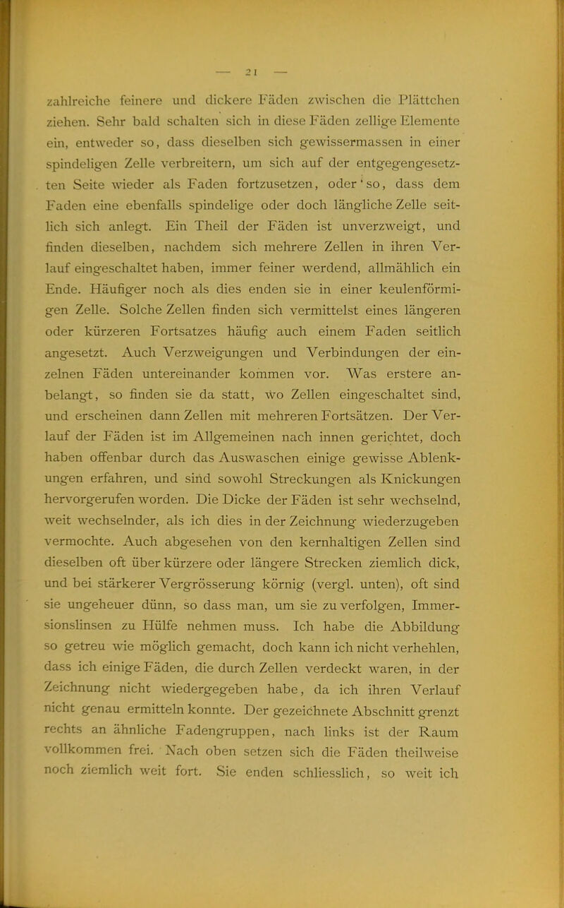 zahlreiche feinere und dickere Fäden zwischen die Plättchen ziehen. Sehr bald schalten sich in diese Fäden zellige Elemente ein, entweder so, dass dieselben sich gewissermassen in einer spindeligen Zelle verbreitern, um sich auf der entgegengesetz- ten Seite wieder als Faden fortzusetzen, oder' so, dass dem Faden eine ebenfalls spindelige oder doch längliche Zelle seit- lich sich anlegt. Ein Theil der Fäden ist unverzweigt, und finden dieselben, nachdem sich mehrere Zellen in ihren Ver- lauf eingeschaltet haben, immer feiner werdend, allmählich ein Ende. Häufiger noch als dies enden sie in einer keulenförmi- gen Zelle. Solche Zellen finden sich vermittelst eines längeren oder kürzeren Fortsatzes häufig auch einem Faden seitlich angesetzt. Auch Verzweigungen und Verbindungen der ein- zelnen Fäden untereinander kommen vor. Was erstere an- belangt, so finden sie da statt, wo Zellen eingeschaltet sind, und erscheinen dann Zellen mit mehreren Fortsätzen. Der Ver- lauf der Fäden ist im Allgemeinen nach innen gerichtet, doch haben offenbar durch das Auswaschen einige gewisse Ablenk- ungen erfahren, und sind sowohl Streckungen als Knickungen hervorgerufen worden. Die Dicke der Fäden ist sehr wechselnd, weit wechselnder, als ich dies in der Zeichnung wiederzugeben vermochte. Auch abgesehen von den kernhaltigen Zellen sind dieselben oft über kürzere oder längere Strecken ziemlich dick, und bei stärkerer Vergrösserung körnig (vergl. unten), oft sind sie ungeheuer dünn, so dass man, um sie zu verfolgen, Immer- sionslinsen zu Hülfe nehmen muss. Ich habe die Abbildung so getreu wie möglich gemacht, doch kann ich nicht verhehlen, dass ich einige Fäden, die durch Zellen verdeckt waren, in der Zeichnung nicht wiedergegeben habe, da ich ihren Verlauf nicht genau ermitteln konnte. Der gezeichnete Abschnitt grenzt rechts an ähnliche Fadengruppen, nach hnks ist der Raum vollkommen frei. Nach oben setzen sich die Fäden theilweise noch ziemhch weit fort. Sie enden schliesslich, so weit ich