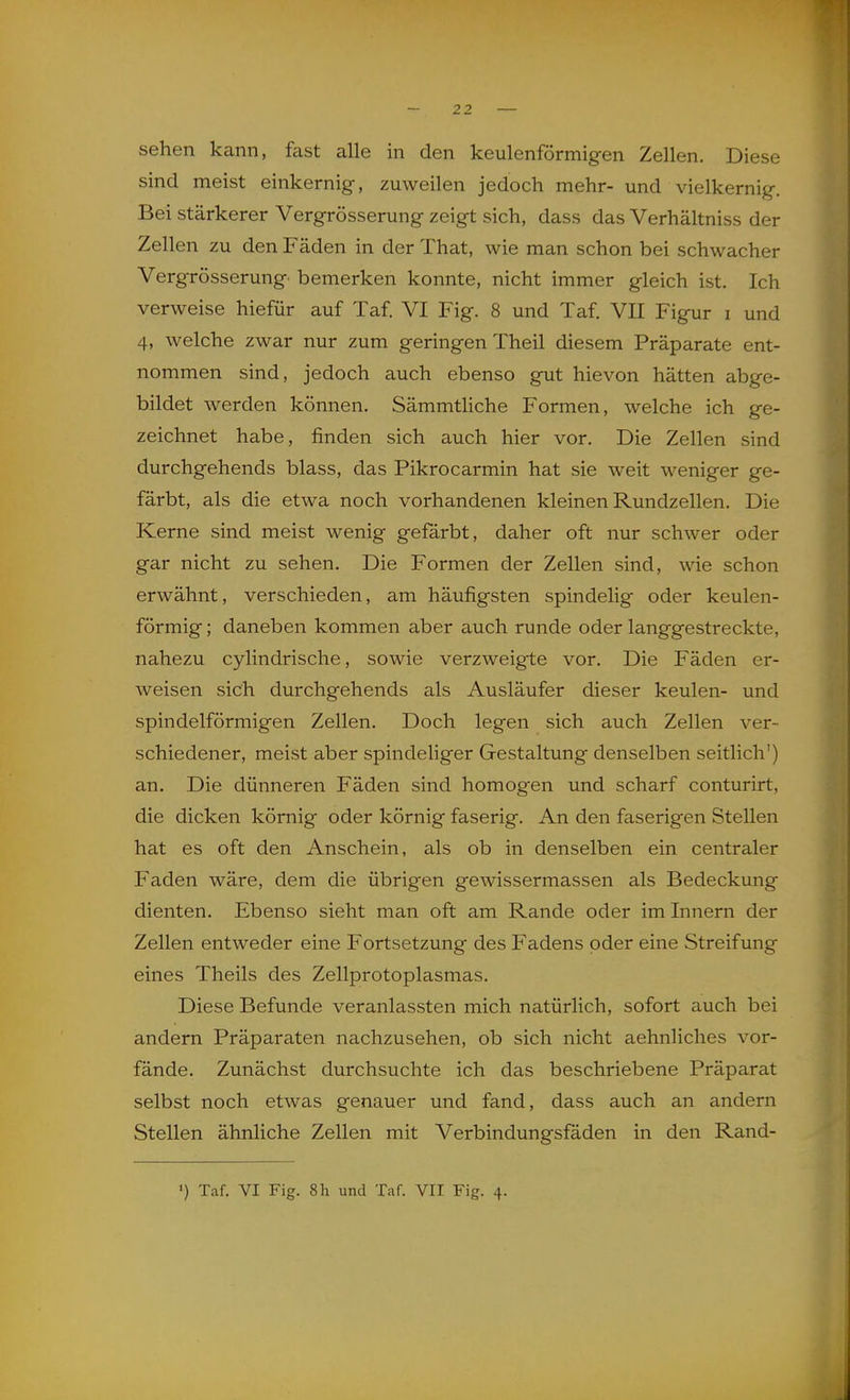 sehen kann, fast alle in den keulenförmigen Zellen. Diese sind meist einkernig, zuweilen jedoch mehr- und vielkernig. Bei stärkerer Vergrösserung zeigt sich, dass das Verhältniss der Zellen zu den Fäden in der That, wie man schon bei schwacher Vergrösserung bemerken konnte, nicht immer gleich ist. Ich verweise hiefür auf Taf. VI Fig. 8 und Taf. VII Figur i und 4, welche zwar nur zum geringen Theil diesem Präparate ent- nommen sind, jedoch auch ebenso gut hievon hätten abge- bildet werden können. Sämmtliche Formen, welche ich ge- zeichnet habe, finden sich auch hier vor. Die Zellen sind durchgehends blass, das Pikrocarmin hat sie weit weniger ge- färbt, als die etwa noch vorhandenen kleinen Rundzellen. Die Kerne sind meist wenig gefärbt, daher oft nur schwer oder gar nicht zu sehen. Die Formen der Zellen sind, wie schon erwähnt, verschieden, am häufigsten spindelig oder keulen- förmig ; daneben kommen aber auch runde oder langgestreckte, nahezu cylindrische, sowie verzweigte vor. Die Fäden er- weisen sich durchgehends als Ausläufer dieser keulen- und spindelförmigen Zellen. Doch legen sich auch Zellen ver- schiedener, meist aber spindeliger Gestaltung denselben seitlich') an. Die dünneren Fäden sind homogen und scharf conturirt, die dicken körnig oder körnig faserig. An den faserigen Stellen hat es oft den Anschein, als ob in denselben ein centraler Faden wäre, dem die übrigen gewissermassen als Bedeckung dienten. Ebenso sieht man oft am Rande oder im Innern der Zellen entweder eine Fortsetzung des Fadens oder eine Streifung eines Theils des Zellprotoplasmas. Diese Befunde veranlassten mich natürlich, sofort auch bei andern Präparaten nachzusehen, ob sich nicht aehnliches vor- fände. Zunächst durchsuchte ich das beschriebene Präparat selbst noch etwas genauer und fand, dass auch an andern Stellen ähnliche Zellen mit Verbindungsfäden in den Rand- «) Taf. VI Fig. 81i und Taf. VII Fig. 4.