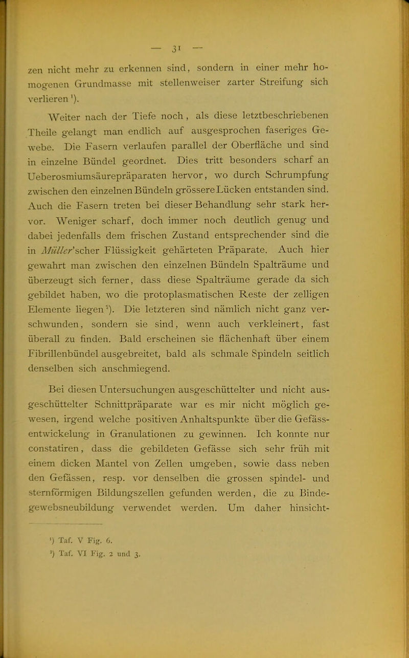 zen nicht mehr zu erkennen sind, sondern in einer mehr ho- mogenen Grundmasse mit stellenweiser zarter Streifung sich verlieren'). Weiter nach der Tiefe noch , als diese letztbeschriebenen Theile gelangt man endlich auf ausgesprochen faseriges Ge- webe. Die Fasern verlaufen parallel der Oberfläche und sind in einzelne Bündel geordnet. Dies tritt besonders scharf an Ueberosmiumsäurepräparaten hervor, wo durch Schrumpfung zwischen den einzelnen Bündeln grössere Lücken entstanden sind. Auch die Fasern treten bei dieser Behandlung sehr stark her- vor. Weniger scharf, doch immer noch deutlich genug und dabei jedenfalls dem frischen Zustand entsprechender sind die in Müllcr'scher Flüssigkeit gehärteten Präparate. Auch hier gewahrt man zwischen den einzelnen Bündeln Spalträume und überzeugt sich ferner, dass diese Spalträume gerade da sich gebildet haben, wo die protoplasmatischen Reste der zelligen Elemente liegen''). Die letzteren sind nämlich nicht ganz ver- schwunden , sondern sie sind, wenn auch verkleinert, fast überall zu finden. Bald erscheinen sie flächenhaft über einem Fibrillenbündel ausgebreitet, bald als schmale Spindeln seitlich denselben sich anschmiegend. Bei diesen Untersuchungen ausgeschüttelter und nicht aus- geschüttelter Schnittpräparate war es mir nicht möglich ge- wesen, irgend welche positiven Anhaltspunkte über die Gefäss- entwickelung in Granulationen zu gewinnen. Ich konnte nur constatiren, dass die gebildeten Gefässe sich sehr früh mit einem dicken Mantel von Zellen umgeben, sowie dass neben den Gefassen, resp. vor denselben die grossen spindel- und sternförmigen Bildungszellen gefunden werden, die zu Binde- gewebsneubildung verwendet werden. Um daher hinsicht- ') Taf. V Fig. 6.