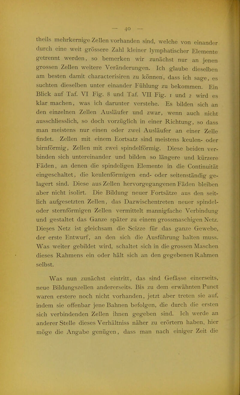 theils mehrkernige Zellen vorhanden sind, welche von einander durch eine weit grössere Zahl kleiner lymphatischer Elemente getrennt werden, so bemerken wir zunächst nur an jenen grossen Zellen weitere Veränderungen. Ich glaube dieselben am besten damit characterisiren zu können, dass ich sage, es suchten dieselben unter einander Fühlung zu bekommen. Ein Blick auf Taf. VI Fig. 8 und Taf. VII Fig. i und 2 wird es klar machen, was ich darunter verstehe. Es bilden sich an den einzelnen Zellen Ausläufer und zwar, wenn auch nicht ausschliesslich, so doch vorzügHch in einer Richtung, so dass man meistens nur einen oder zwei Ausläufer an einer Zelle findet. Zellen mit einem Fortsatz sind meistens keulen- oder birnförmig, Zellen mit zwei spindelförmig. Diese beiden ver- binden sich untereinander und bilden so längere und kürzere Fäden, an denen die spindeligen Elemente in die Continuität eingeschaltet, die keulenförmigen end- oder seitenständig ge- lagert sind. Diese aus Zellen hervorgegangenen Fäden bleiben aber nicht isolirt. Die Bildung neuer Fortsätze aus den seit- lich aufgesetzten Zellen, das Dazwischentreten neuer spindel- oder sternförmigen Zellen vermittelt mannigfache Verbindung und gestaltet das Ganze später zu einem grossmaschigen Netz. Dieses Netz ist gleichsam die Scizze für das ganze Gewebe, der erste Entwurf, an den sich die Ausführung halten muss. Was weiter gebildet wird, schaltet sich in die grossen Maschen dieses Rahmens ein oder hält sich an den gegebenen Rahmen selbst. Was nun zunächst eintritt, das sind Gefässe einerseits, neue Bildungszellen andererseits. Bis zu dem erwähnten Punct waren erstere noch nicht vorhanden, jetzt aber treten sie auf, indem sie offenbar jene Bahnen befolgen, die durch die ersten sich verbindenden Zellen ihnen gegeben sind. Ich werde an anderer Stelle dieses Verhältniss näher zu erörtern haben, hier möge die Angabe genügen, dass man nach einiger Zeit die