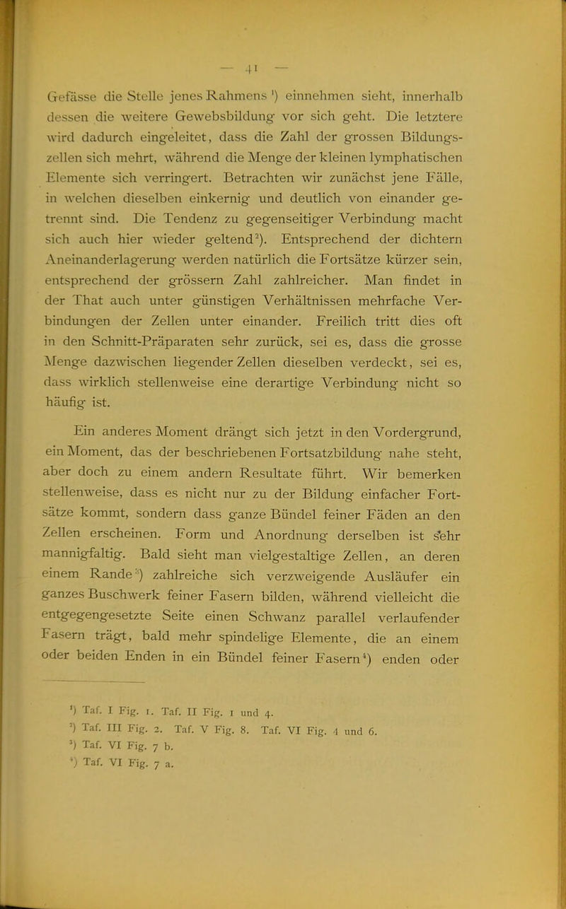 Gefässe die Stelle jenes Rahmens ') einnehmen sieht, innerhalb dessen die weitere Gewebsbildung vor sich geht. Die letztere wird dadurch eingeleitet, dass die Zahl der grossen Bildungs- zellen sich mehrt, während die Menge der kleinen lymphatischen Elemente sich verringert. Betrachten wir zunächst jene Fälle, in welchen dieselben einkernig und deutlich von einander ge- trennt sind. Die Tendenz zu gegenseitiger Verbindung macht sich auch hier wieder geltend). Entsprechend der dichtem Aneinanderlagerung werden natürlich die Fortsätze kürzer sein, entsprechend der grössern Zahl zahlreicher. Man findet in der That auch unter günstigen Verhältnissen mehrfache Ver- bindungen der Zellen unter einander. Freilich tritt dies oft in den Schnitt-Präparaten sehr zurück, sei es, dass die grosse Menge dazwischen liegender Zellen dieselben verdeckt, sei es, dass wirklich stellenweise eine derartige Verbindung nicht so häufig ist. Ein anderes Moment drängt sich jetzt in den Vordergrund, ein Moment, das der beschriebenen Fortsatzbildung nahe steht, aber doch zu einem andern Resultate führt. Wir bemerken stellenweise, dass es nicht nur zu der Bildung einfacher Fort- sätze kommt, sondern dass ganze Bündel feiner Fäden an den Zellen erscheinen. Form und Anordnung derselben ist s'ehr mannigfaltig. Bald sieht man vielgestaltige Zellen, an deren einem Rande') zahlreiche sich verzweigende Ausläufer ein ganzes Buschwerk feiner Fasern bilden, während vielleicht die entgegengesetzte Seite einen Schwanz parallel verlaufender Fasern trägt, bald mehr spindelige Elemente, die an einem oder beiden Enden in ein Bündel feiner Fasern*) enden oder ') Taf. I Fig. r. Taf. II Fig. i und 4. ') Taf. III Fig. 2. Taf. V Fig. 8. Taf. VI Fig. 4 und 6. ') Taf. VI Fig. 7 b. ') Taf. VI Fig. 7 a.