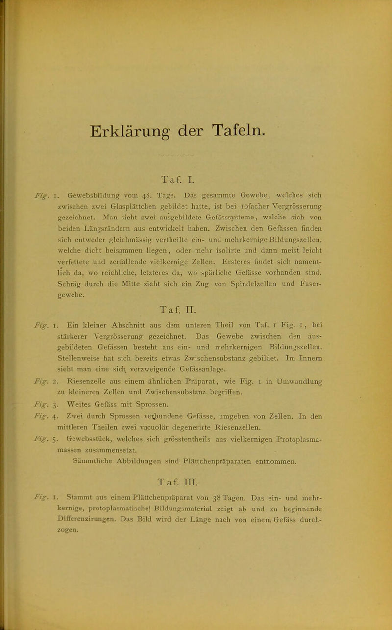 Erklärung der Tafeln. Taf. 1. Fig. I. GewebsbiKlung vom 48. Tage. Das gesammte Gewebe, welches sich zwischen zwei Glasplättchen gebildet hatte, ist bei lofacher Vergrösserung gezeichnet. Man sieht zwei ausgebildete Gefässsysteme, welche sich von beiden Längsrändern aus entwickelt haben. Zwischen den Gelassen finden sich entweder gleichmässig vertheilte ein- und mehrkernige Bildungszellen, welche dicht beisammen liegen, oder mehr isolirte und dann meist leicht verfettete und zerfallende vielkernige Zellen. Ersteres findet sich nanient- lieh da, wo reichliche, letzteres da, wo spärliche Gefasse vorhanden sind. Schräg durch die Mitte zieht sich ein Zug von Spindelzellen und Faser- gewebe. Taf. n. Fig. I. Ein kleiner Abschnitt aus dem unteren Theil von Taf. i Fig. i, bei stärkerer Vergrösserung gezeichnet. Das Gewebe zwischen den aus- gebildeten Gefässen besteht aus ein- und mehrkernigen Bildungszellen. Stellenweise hat sich bereits etwas Zwischensubstanz gebildet. Im Innern sieht man eine sich verzweigende Gefassanlage. Fig-. 1. Riesenzelle aus einem ähnlichen Präparat, wie Fig. i in Umwandlung zu kleineren Zellen und Zwischensubstanz begriffen. Fig. 3. Weites Gefäss mit Sprossen. Fig. 4. Zwei durch Sprossen veii)undene Gefässe, umgeben von Zellen. In den mittleren Theilen zwei vacuolär degenerirte Riesenzellen. Fig. 5. Gewebsstück, welches sich grösstentheils aus vielkernigen Protoplasma- massen zusammensetzt. Sämmtliche Abbildungen sind Plättchenpräparaten entnommen. Taf. ni. Fiy. I. Stammt aus einem Plättchenpräparat von 38 Tagen. Das ein- und mehr- kernige, protoplasmatischej Bildungsmaterial zeigt ab und zu beginnende DifFerenzirungen. Das Bild wird der Länge nach von einem Gefäss durch- zogen.