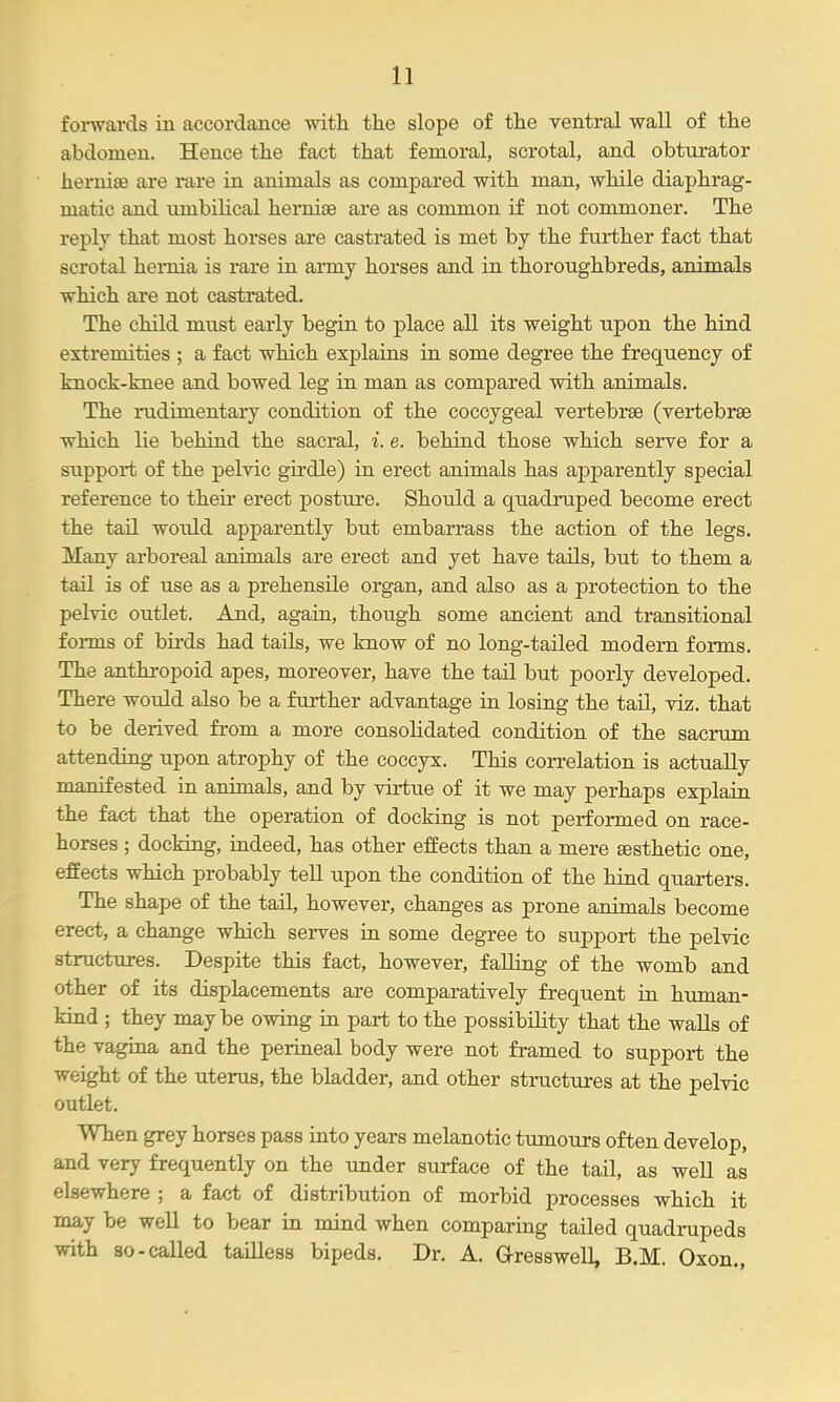 forwards in accordance •with, the slope of the ventral wall of the abdomen. Hence the fact that femoral, scrotal, and obturator hernise are rare in animals as compared with man, while diaphrag- matic and umbilical hernise are as common if not commoner. The reply that most horses are castrated is met by the further fact that scrotal hernia is rare in anny horses and in thoroughbreds, animals which are not castrated. The child must early begin to place all its weight upon the hind extremities ; a fact which explains in some degree the frequency of knock-knee and bowed leg in man as compared with animals. The rudimentary condition of the coccygeal vertebrae (vertebrae which lie behind the sacral, i. e. behind those which serve for a support of the pelvic girdle) in erect animals has apparently special reference to their erect posture. Should a quadruped become erect the tail would apparently but embarrass the action of the legs. Many arboreal animals are erect and yet have tails, but to them a tail is of use as a prehensile organ, and also as a protection to th.e pelvic outlet. And, again, though some ancient and transitional forms of birds had tails, we know of no long-tailed modern forms. The anthropoid apes, moreover, have the tail but poorly developed. There would also be a further advantage ia losing the tail, viz. that to be derived from a more consolidated condition of the sacrum attendxQg upon atrophy of the coccyx. This correlation is actually manifested in animals, and by virtue of it we may perhaps explain the fact that the operation of docking is not performed on race- horses ; docldng, indeed, has other effects than a mere aesthetic one, effects which probably tell upon the condition of the hind quarters. The shape of the tail, however, changes as prone animals become erect, a change which serves ia some degree to support the pelvic structures. Despite this fact, however, fallirig of the womb and other of its displacements are comparatively frequent ia human- kiad ; they maybe owing in part to the possibility that the walls of the vagina and the perineal body were not framed to support the weight of the uterus, the bladder, and other structures at the pelvic outlet. When grey horses pass into years melanotic tumours often develop, and very frequently on the under surface of the tail, as well as elsewhere ; a fact of distribution of morbid processes which it may be well to bear in mind when comparing tailed quadmpeds with 80-called tailless bipeds. Dr. A. aresswell, B.M. Oxon.,