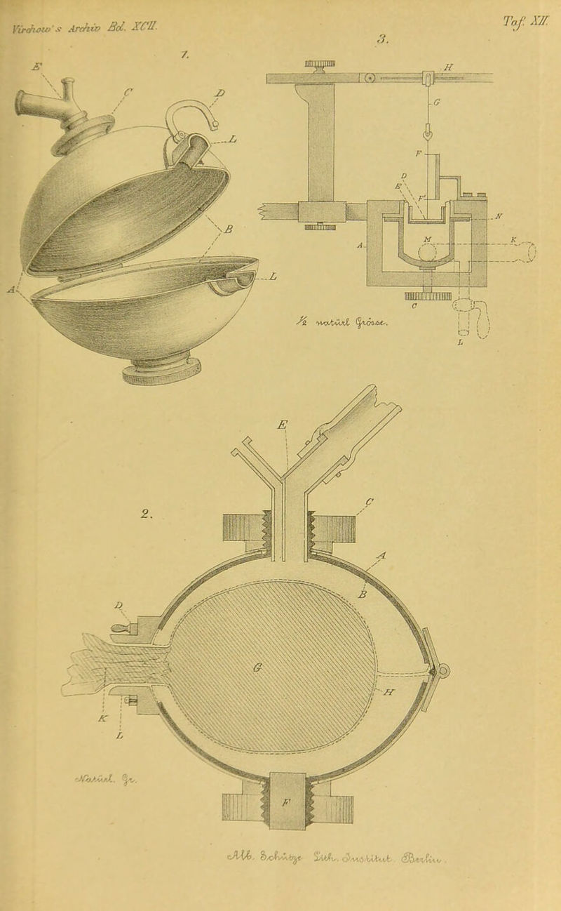 Virchow-x Archiv Bd. XCU.