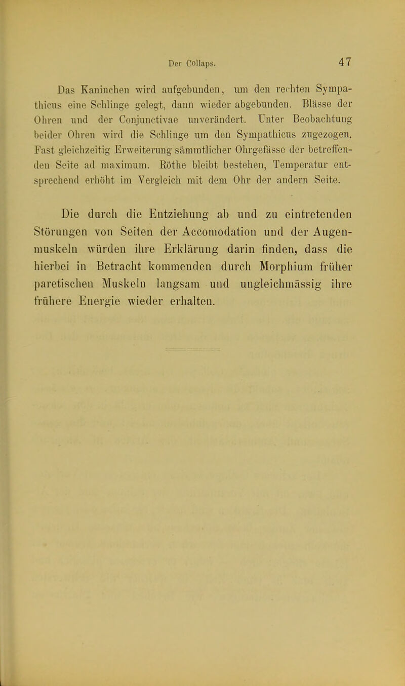 Das Kaninchen wird aufgebunden, um den rechten Sympa- thicus eine Schlinge gelegt, dann wieder abgebunden. Blässe der Ohren und der Conjunctivae unverändert. Unter Beobachtung beider Ohren wird die Schlinge um den Sympathicus zugezogen. Fast gleichzeitig Erweiterung sämmtlicher Ohrgefässe der betreffen- den Seite ad maximum. Rothe bleibt bestehen, Temperatur ent- sprechend erhöht im Vergleich mit dem Ohr der andern Seite. Die durch die Entziehung ab und zu eintretenden Störungen von Seiten der Accomodation und der Augen- muskeln würden ihre Erklärung darin finden, dass die hierbei in Betracht kommenden durch Morphium früher paretischen Muskeln langsam und ungleichmässig ihre frühere Energie wieder erhalten.