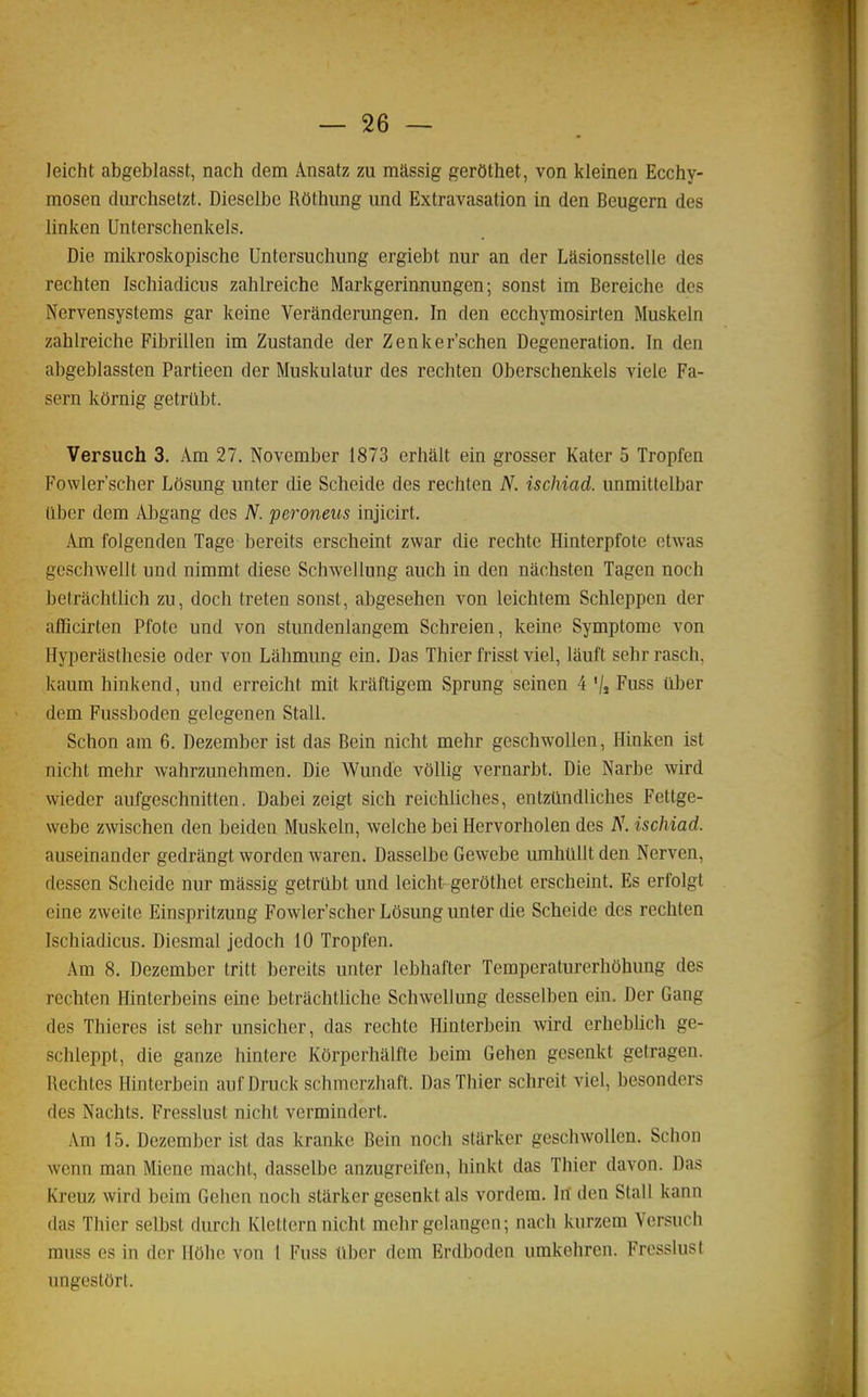 Jeicht abgeblasst, nach dem Ansatz zu massig gerOthet, von kleinen Ecchy- mosen durchsetzt. Dieselbe Rôthung und Extravasation in den Beugern des linken Unterschenkels. Die mikroskopische Untersuchung ergiebt nur an der Lasionsstelle des rechten Ischiadiciis zahlreiche Markgerinnungen ; sonst im Bereiche des Nervensystems gar keine Verânderungen. In den ecchymosirten Muskeln zahlreiche Fibrillen im Zustande der Zenker'schen Degeneration. In den abgeblassten Partieen der Muskulatur des rechten Oberschenkels viele Fa- sern kOrnig getrllbt. Versuch 3. Am 27. November 1873 crhait ein grosser Kater 5 Tropfen Fowler'scher Lôsung unter die Scheide des rechten A^. ischiad. unmittelbar tlber dem Al)gang des N. peroneus injicirt. Am folgenden Tage bereits erscheint zwar die rechte Hinterpfote etwas geschwellt und nimmt dièse Schwellung auch in den nâchsten Tagen noch betrachtiich zu, doch treten sonst, abgesehen von leichtem Schleppen der afficirten Pfote und von stundenlangem Schreien, keine Symptôme von Hyperasthesie oder von Lâhmung ein. Das Thier frisst viel, lauft sehr rasch, kaum hinkend, und erreicht mit kraftigem Sprung seinen 4 '/j Fuss ûber dem Fussboden gelegenen Stall. Schon am 6. Dezember ist das Bein nicht mehr gcschwoUen, Hinken ist nicht mehr wahrzunehmen. Die Wunde vôllig vernarbt. Die Narbe wird wieder aufgeschnitten. Dabei zeigt sich reichliches, entztlndliches Fettge- webe zwischen den beiden Muskeln, welche bei Hervorholen des N. ischiad. auseinander gedrângt worden waren. Dasselbe Gewebe umhtiUt den Nerven, dessen Scheide nur massig getrtibt und leicht gerôthet erscheint. Es erfolgt eine zweite Einspritzung Fowler'scher Lôsung unter die Scheide des rechten Ischiadicus. Diesmal jedoch 10 Tropfen. Am 8. Dezember Iritt bereits unter lebhafter Temperaturerhôhung des rechten Hinterbeins eine betrâchtliche Schwellung desselben ein. Der Gang des Thieres ist sehr unsicher, das rechte Hinterbein wird erheblich ge- schleppt, die ganze hintere Kôrperhalfte beim Gehen gesenkt getragen. Hechtes Hinterbein auf Druck schmerzhaft. Das Thier schreit viel, besonders des Nachts. Fresslust nicht vermindert. Am 15. Dezember ist das kranke Bein noch starker geschwollen. Schon wcnn man Miene macht, dasselbe anzugreifen, hinkt das Thier davon. Das Kreuz wird beim Gehen noch starker gesenkt als vordem. Irt den Stall kann das Thier selbst durch Klettern nicht mehr gelangcn; nach kurzem Versuch muss es in dor llôhe von 1 Fuss liber dem Erdboden umkehren. Fresslust ungestôrl.