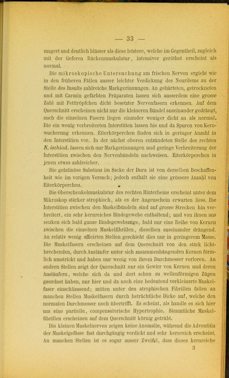 magert und deutlich bliisscr als dièse letztere, welche im Gegentheil, zugleich mit dcr tieferen Rûckenmuskulatur, intcnsiver gerOthet erscheint als uormal. Die mikroslcopische Untersuchung am frischen Nerven ergiebt wie in den frûheren Failen ausser leichter Verdickung des Neurilems an der Stelle des Insults zahlreiche Markgerinnungen. An geMrtetcn, getrockneten und mit Carmin gefarbten Praparaten lassen sich ausserdem eine grosse Zalîl mit Fetttrôpfchen dicht besetzter Nervenfasern erkennen. Auf dem Querschnitt erscheinen nicht nur die Ideineren Btlndel auseinander gedrângt, auch die einzelnen Fasern liegen einander weniger dicht an als normal. Die ein wenig verbreiterten Interstitien lassen hie und da Spui'en von Kern- wucherung erkennen. Eiterkorperchen finden sich in geringer Anzahl in den Interstitien vor. In der nachst oberen entztlndeten Stelle des rechten N. ischiad. lassen sich nur Markgerinnungen und geringe Verbreiterung der Interstitien zwischen den Nervenbllndeln nachweisen. Eiterkorperchen in jenen etwas zahlreicher. Die gelatinôse Substanz im Sacke der Dura ist von dersellien Beschaffen- heit wie im vorigen Versuch ; jedoch enthait sie eine grôssere Anzahl von Eiterkorperchen. , Die Oberschenkelmuskulatur des rechten Hinterbeins erscheint unter dem Mkroskop starker atrophisch, als es der Augenschein erwarten liess. Die Interstitien zwischen den Muskelbtindeln sind auf grosse Strecken hin ver- breitert, ein sehr kernreiches Bindegewebe enthaltend; und von ihnen aus senken sich bald ganze Bindegewebsztige, bald nur eine Reihe von Kernen zwischen die einzelnen Muskelfibrillen, dieselben auseinander drângend. An relativ wenig afficirten Stellen geschieht dies nur in geringerem Masse. Die Muskelfasern erscheinen auf dem Querschnitt von den stark licht- brechenden, durch Auslaufer unter sich zusammenhangenden Kernen fôrm- lich umstrickt und haben nur wenig von ihrem Durchmesser verloren. An andem Stellen zeigt der Querschnitt nur ein Gewirr von Kernen und deren Auslaufcrn, welche sich da und dort schon zu wellenfOrmigen Zûgen geordnet haben, nur hier und da noch eine bedeutend verkleinerte Muskel- faser eùischliessend ; mitten unter den atrophischen Fibrillen fallen an manchon Stellen Muskelfasern durch betrachtliche Dicko auf, welche don normalen Durchmesser noch Ubertrifft. Es scheint, als handle es sich hier uni eine partielle, compensatorische Hypertrophie. Slimmtliche Muskel- fibrillen erscheinen auf dem Querschnitt kOruig getrtlbt. Die kleinen Muskclnerven zcigen keine Anomalie, wllhrend die Advenlitia der MuskelgefUsse fast durchgllngig verdickt und sehr kernreich erscheint. An manchen Stellen ist es sogar ausser Zweifel, dass dièses kernreicho 3