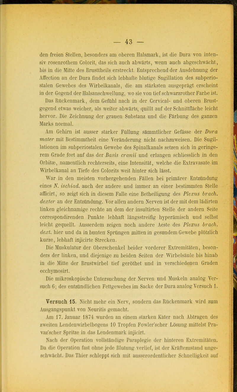 den freien Stellen, besonders am oberen Halsmark, ist die Dura von inten- siv rosenrothom Golorit, das sich auch abwJirts, wenn auch abgcschwacht, bis in die Mittc des Bnisttheils erstreckt. Entsprechend der Ausdehnung der Affection an der Dura findet sich lebhafte blutige Sugillation des subperio- stalen Gewebes des Wirbelkanals, die am slàrksten ausgepritgt erscheint in der Gegend der Halsanschwellung, wo sie von tief schwarzrother Farbe ist. Das Rtlckenmark, dem Gefahl nacb in der Cervical- und oberen Brust- gegend etwas weicher, als weiter abwarts, quillt auf der Schnittflache leicht hervor. Die Zeichnung der grauen Substanz und die Fârbung des ganzen Marks normal. Am Gehirn ist ausser starker Ftillung sammtlicher Gefâsse der Dura mater mit Bestimmtheit eine Veranderung nicht nachzuweisen. Die Sugil- lationen im subperiostalen Gewebe des Spinalkanals setzen sich in geringe- rem Grade fort auf das der Basis cranii und erlangen schliesslich in den Orbitœ, namentlich rechterseits, eine Intensitat, welche die Extravasate im Wirbelkanal an Tiefe des Golorits weit hinter sich lâsst. War in den meisten vorhergehenden Fallen bai primârer Entzlindung eines N. ischiad. auch der andere und immer an einer bestimmten Stelle afiîcirt, so zeigt sich in diesem Falle eine Betheiligung des Plexus brach. dexter an der Entztindung. Vor allen andern Nerven ist der mit dem lâcUrten linken gleichnamige rechte an dem der msultirten Stelle der andern Seite correspondirenden Punkte lebhaft langsstreifig hyperamisch und selbst leicht geqiiellt. Ausserdem zeigen noch andere Aeste des Plexus brach. dext. hier und da in bunten Sprtingen mitten in gesundem Gewebe plotzlich kurze, lebhaft injicirte Strecken. Die Muskulatur der Oberschenkel beider vorderer Extremitaten, beson- ders der linken, und diejenige zu beiden Seiten der Wirbelsaule bis hinab in die Mitte der Brustwirbel tief gerôthet und in verschiedenen Graden ecchymosirt. Die mikroskopische Untersuchung der Nerven und Muskeln analog Vcr- such 6; des entzUndlichen Fettgewebes im Sacke der Dura analog Versuch i. Versuch 15. Nicht mchr ein Nerv, sondern das Rûckenmark wird zum Ausgangspunkt von Neuritis gemacht. Am 17. Januar 1874 wurden an einem slarken Kater nach Abtragen des zweiten Lendcnwirbclbogens 10 Tropfen Fowler'scher LOsung mitlelsl Pra- vaz'schcr Sprilzo in das Lendonmark injicirt. Nach dor Opération vollstlindige Paraplégie der hinteren Rxtremiliilcn. Da die Opération fast olinc jede Blutung verlief, ist der Kriiriezustand ungc- schwâchl. Das Thier schleppt sich mil ausscrordenllichcr SclincUigkcil auf