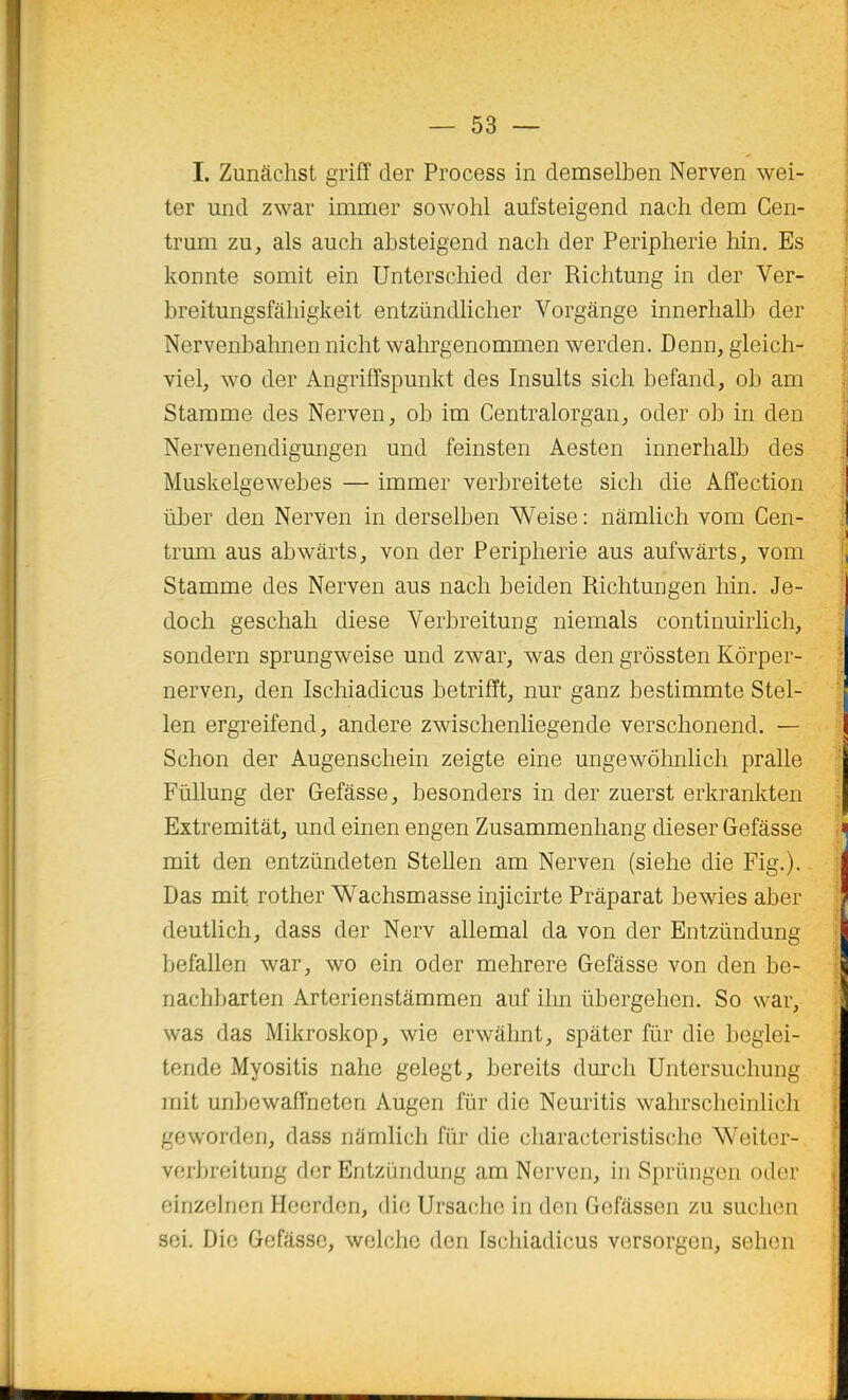 1. Zunâchst grifï der Process in demselben Nerven wei- ter und zwar immer sowohl aufsteigend nach dem Cen- triun zu, als auch absteigend nach der Peripherie hin. Es konnte somit ein Unterschied der Richtung in der Ver- breitungsfâhigkeit entziindhcher Vorgânge innerhalb der Nervenbahnen nicht wahrgenommen werden. Denn, gleich- viel, wo der Angriffspunkt des Insults sich befand, ob am Stamme des Nerven, ob im Centralorgan, oder ob in den Nervenendigungen und feinsten Aesten innerhalb des Muskelgewebes — immer verbreitete sich die Affection iiber den Nerven in derselben Weise : nâmhch vom Cen- trum ans abwârts, von der Peripherie ans aufwârts, vom Stamme des Nerven ans nach beiden Richtungen hin. Je- doch geschah dièse Verbreitung niemals continuirhch, sondern sprungweise und zwar, was den grôssten Kôrper- nerven, den Ischiadicus betrifft, nur ganz bestimmte Stel- len ergreifend, andere zwischenHegende verschonend. — Schon der Augenschein zeigte eine ungewôhnUch praUe FûUung der Gefâsse, besonders in der zuerst erkrankten Extremitât, und einen engen Zusammenhang dieser Gefâsse mit den entziindeten Stellen am Nerven (siehe die Fig.). Das mit rother Wachsmasse injicirte Prâparat bewies aber deutlich, dass der Nerv allemal da von der Entziindung befallen war, wo ein oder mehrere Gefâsse von den be- nachbarten Arterienstâmmen auf ihn iibergehen. So war, was das Mikroskop, wie erwâhnt, spâter fur die begiei- tende Myositis nahe gelegt, bereits durch Untersuchung mit unbewaffneten Augen fiir die Neuritis wahrscheinlich geworden, dass namlich fur die characteristische Weiter- verbreitung dor Entziindung am Nerven, in Sprûngen oder einzelnen Hoerdcn, dio Ursacho in den Gefâssen zu suclien sei. Die Gefâsse, welclie den Ischiadicus versorgen, sehen