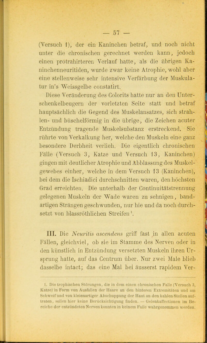 (Versuch 1), der ein Kaninchen betraf, und noch nicht unter die chronischen gerechnet werden kanD, jedoch einen prôtrahirteren Verlauf batte, als die ûbrigen Ka- nincbenneuritiden, wurde zwar keine Atropbie, wobl aber eine stellenweise sehr intensive Verfârbung der Muskula- tur in's Weissgelbe constatirt. Dièse Verânderung des Colorits batte nur an den Unter- scbenkelbeugern der vorletzten Seite statt und betraf hauptsâcblich die Gegend des Muskelansatzes, sicb strah- len- und bûscbelfôrmig in die ûbrige, die Zeicben acuter Entziindung tragende Muskelsubstanz erstreckend. Sie riibrte von Verkalkung ber, welcbe den Muskeln eine ganz besondere Derbbeit verlieb. Die eigentlicb cbronischen Fâlle (Versuch 3, Katze und Versucb 13, Kaninclien) gingen mit deutlicher Atrophie und Abblassung des Muskel- gewebes einber, welcbe in dem Versuch 13 (Kaninchen), bei dem die Ischiadici durchschnitten waren, denhôchsten Grad erreichten. Die unterhalb der Continuitâtstrennung gelegenen Muskeln der Wade waren zu sehnigen, band- artigen Strângen geschwunden, nur hie und da noch durch- setzt von blassrothlichen Streifen \ III. Die Neuritis ascendens griff fast in allen acuten Fâllen, gleicbviel, ob sie im Stamme des Nerven oder in den kïinstlich in Entziindung versetzten Muskeln ihren Ur- spning batte, auf das Centrum iiber. Nur zwei Maie blieb dasselbe intact; das eine Mal bei âusserst rapidem Ver- I. Dio trophischcn Sf.orunj^on, die in dom einon clironisclion Fallo (Vorsuch 3, Katzc) in Form von Ausf'allon dor Ilaarc an don liintcrcn KxtromiUilen und iim Schweif und von kioienartigcr Abschuppung der Haut an den kahicn Slelion auf- Iralen, soUen hier keine Berùcksicliligung findon. — Gclonkall'cctionon im Be- reiche dor entzûndeten Nerven konntcn in koinom Failc wahrgonommon werden.