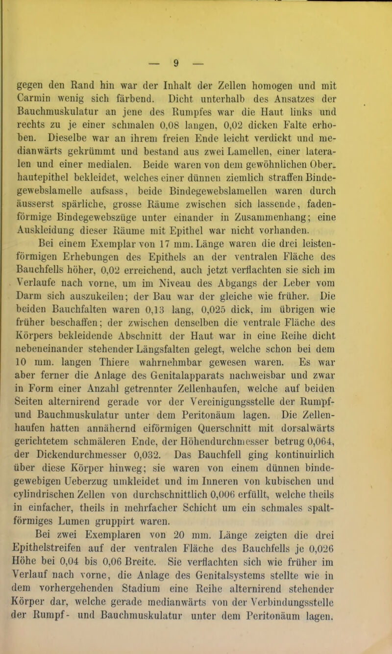 gegen den Rand hin war der Inhalt der Zellen homogen und mit Carmin wenig sich färbend. Dicht unterhalb des Ansatzes der Bauchmuskulatur an jene des Rumpfes war die Haut links und rechts zu je einer schmalen 0,08 langen, 0,02 dicken Falte erho- ben. Dieselbe war an ihrem freien Ende leicht verdickt und me- dianwärts gekrümmt und bestand aus zwei Lamellen, einer latera- len und einer medialen. Beide waren von dem gewöhnlichen Ober, hautepithel bekleidet, welches einer dünnen ziemlich straffen Binde- gewebslamelle aufsass, beide Bindegewebslamellen waren durch äusserst spärliche, grosse Räume zwischen sich lassende, faden- förmige Bindegewebszüge unter einander in Zusammenhang; eine Auskleidung dieser Räume mit Epithel war nicht vorhanden. Bei einem Exemplar von 17 mm. Länge waren die drei leisten- förmigen Erhebungen des Epithels an der ventralen Fläche des Bauchfells höher, 0,02 erreichend, auch jetzt verflachten sie sich im Verlaufe nach vorne, um im Niveau des Abgangs der Leber vom Darm sich auszukeilen; der Bau war der gleiche wie früher. Die beiden Bauchfalten waren 0,13 lang, 0,025 dick, im übrigen wie früher beschaffen; der zwischen denselben die ventrale Fläche des Körpers bekleidende Abschnitt der Haut war in eine Reihe dicht nebeneinander stehender Längsfalten gelegt, welche schon bei dem 10 mm. langen Thiere wahrnehmbar gewesen waren. Es war aber ferner die Anlage des Genitalapparats nachweisbar und zwar in Form einer Anzahl getrennter Zellenhaufen, welche auf beiden Seiten alternirend gerade vor der Vereinigungsstelle der Rumpf- und Bauchmuskulatur unter dem Peritonäum lagen. Die Zellen- haufen hatten annähernd eiförmigen Querschnitt mit dorsalwärts gerichtetem schmäleren Ende, der Höhendurchmesser betrug 0,064, der Dickendurchmesser 0,032. Das Bauchfell ging kontinuirlich über diese Körper hinweg; sie waren von einem dünnen binde- gewebigen Ueberzug umkleidet und im Inneren von kubischen und cylindrischen Zellen von durchschnittlich 0,006 erfüllt, welche theils in einfacher, theils in mehrfacher Schicht um ein schmales spalt- förmiges Lumen gruppirt waren. Bei zwei Exemplaren von 20 mm. Länge zeigten die drei Epithelstreifen auf der ventralen Fläche des Bauchfells je 0,026 Höhe bei 0,04 bis 0,06 Breite. Sie verflachten sich wie früher im Verlauf nach vorne, die Anlage des Genitalsystems stellte wie in dem vorhergehenden Stadium eine Reihe alternirend stehender Körper dar, welche gerade medianwärts von der Verbindungsstelle der Rumpf- und Bauchmuskulatur unter dem Peritonäum lagen.