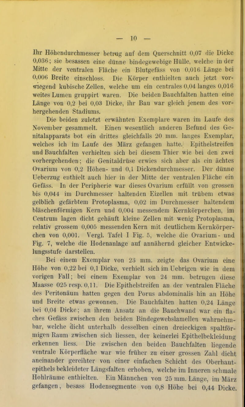 Ihr Höhendurchmesser betrug auf dem Querschnitt 0,07 die Dicke 0,036; sie besassen eine dünne bindegewebige Hülle, welche in der Mitte der ventralen Fläche ein Blutgefäss von 0,016 Länge bei 0,006 Breite einschloss. Die Körper enthielten auch jetzt vor- wiegend kubische Zellen, welche um ein centrales 0,04 langes 0,016 weites Lumen gruppirt waren. Die beiden Bauchfalten hatten eine Länge von 0,2 bei 0,03 Dicke, ihr Bau war gleich jenem des vor- hergehenden Stadiums. Die beiden zuletzt erwähnten Exemplare waren im Laufe des November gesammelt. Einen wesentlich anderen Befund des Ge- nitalapparats bot ein drittes gleichfalls 20 mm. langes Exemplar, welches ich im Laufe des März gefangen hatte. Epithelstreifen und Bauchfalten verhielten sich bei diesem Thier wie bei den zwei vorhergehenden; die Genitaldrüse erwies sich aber als ein achtes Ovarium von 0,2 Höhen- und 0,1 Dickendurchmesser. Der dünne Ueberzug enthielt auch hier in der Mitte der ventralen Fläche ein Gefäss. In der Peripherie war dieses Ovarium erfüllt von grossen bis 0,044 im Durchmesser haltenden Eizellen mit trübem etwas gelblich gefärbtem Protoplasma, 0,02 im Durchmesser haltendem bläschenförmigen Kern und 0,004 messendem Kernkörperchen, im Centrum lagen dicht gehäuft kleine Zellen mit wenig Protoplasma, relativ grossem 0,005 messenden Kern mit deutlichem Kernkörper- chen von 0,001. Vergl. Tafel I Fig. 5, welche die Ovarium- und Fig. 7, welche die Hodenanlage auf annähernd gleicher Entwicke- lungsstufe darstellen. Bei einem Exemplar von 23 mm. zeigte das Ovarium eine Höhe von 0,22 bei 0,1 Dicke, verhielt sich im Uebrigen wie in dem vorigen Fall; bei einem Exemplar von 24 mm. betrugen diese Maasse 025 resp. 0,11. Die Epithelstreifen an der ventralen Fläche des Peritonäum hatten gegen den Poms abdominalis hin an Höhe und Breite etwas gewonnen. Die Bauchfalten hatten 0,24 Länge bei 0,04 Dicke; an ihrem Ansatz an die Bauchwand war ein Ha- ches Gefäss zwischen den beiden Bindegewebslamellen wahrnehm- bar, welche dicht unterhalb desselben einen dreieckigen spaltför- migen Raum zwischen sich Hessen, der keinerlei Epithelbekleidung erkennen liess. Die zwischen den beiden Bauchfalten liegende ventrale Körperfläche war wie früher zu einer grossen Zahl dicht aneinander gereihter von einer einfachen Schicht des Oberhaut- epithels bekleideter Längsfalten erhoben, welche im Inneren schmale Hohl räume enthielten. Ein Männchen von 25 mm. Länge, im März gefangen, besass Hodensegmente von 0,8 Höhe bei 0,44 Dicke.