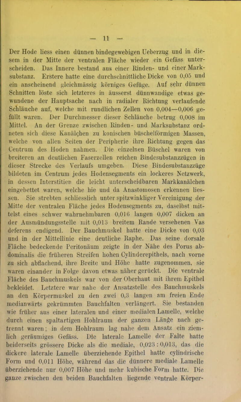 Der Hode liess einen dünnen bindegewebigen Ueberzug und in die- sem in der Mitte der ventralen Fläche wieder ein Gefäss unter- scheiden. Das Innere bestand aus einer Rinden- und einer Mark- substanz. Erstere hatte eine durchschnittliche Dicke von 0,05 und ein anscheinend ^leichmässig körniges Gefüge. Auf sehr dünnen Schnitten löste sich letzteres in äusserst dünnwandige etwas ge- wundene der Hauptsache nach in radialer Richtung verlaufende Schläuche auf, welche mit rundlichen Zellen von 0,004—0,006 ge- füllt waren. Der Durchmesser dieser Schläuche betrug 0,008 im Mittel. An der Grenze zwischen Rinden- und Marksubstanz ord- neten sich diese Kanälghen zu konischen büschelförmigen Massen, welche von allen Seiten der Peripherie ihre Richtung gegen das Centrum des Hoden nahmen. Die einzelnen Büschel waren von breiteren an deutlichen Faserzellen reichen Bindesubstanzzügen in dieser Strecke des Verlaufs umgeben. Diese Bindesubstanzzüge bildeten im Centrum jedes Hodensegments ein lockeres Netzwerk, in dessen Interstitiell die leicht unterscheidbaren Markkanälchen eingebettet waren, welche hie und da Anastomosen erkennen Hes- sen. Sie strebten schliesslich unter spitzwinkliger Vereinigung der Mitte der ventralen Fläche jedes Hodensegments zu, daselbst mit- telst eines schwer wahrnehmbaren 0,016 langen 0,007 dicken an der Ausmündungsstelle mit 0,013 breitem Rande versehenen Vas deferens endigend. Der Bauchmuskel hatte eine Dicke von 0,03 und in der Mittellinie eine deutliche Raphe. Das seine dorsale Fläche bedeckende Peritonäum zeigte in der Nähe des Poms ab- dominalis die früheren Streifen hohen Cylinderepithels, nach vorne zu sich abflachend, ihre Breite und Höhe hatte zugenommen, sie waren einander in Folge davon etwas näher gerückt. Die ventrale Fläche des Bauchmuskels war von der Oberhaut mit ihrem Epithel bekleidet. Letztere war nahe der Absatzstelle des Bauchmuskels an den Körpermuskel zu den zwei 0,3 langen am freien Ende medianwärts gekrümmten Bauchfalten verlängert. Sie bestanden wie früher aus einer lateralen und einer medialen Lamelle, welche durch einen spaltartigen Hohlraum der ganzen Länge nach ge- trennt waren; in dem Hohlraum lag nahe dem Ansatz ein ziem- lich geräumiges Gefäss. Die laterale Lamelle der Falte hatte beiderseits grössere Dicke als die mediale, 0,023:0,013, das die dickere laterale Lamelle überziehende Epithel hatte cylindrische Form und 0,011 Höhe, während das die dünnere mediale Lamelle überziehende nur 0,007 Höhe und mehr kubische Form hatte. Die ganze zwischen den beiden Bauchfalten liegende ventrale Körper-