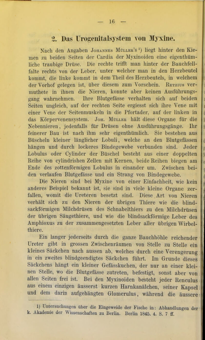 2. Das Urogenitalsystem von Myxüie. Nach den Angaben Johannes Müller's ') liegt hinter den Kie- men zu beiden Seiten der Cardia der Myxinoiden eine eigentüm- liche traubige Drüse. Die rechte trifft man hinter der Bauchfell- i falte rechts von der Leber, unter welcher man in den Herzbeutel kommt, die linke kommt in dem Theil des Herzbeutels, in welchem | der Vorhof gelegen ist, über diesem zum Vorschein. Retzius ver- i muthete in ihnen die Nieren, konnte aber keinen Ausführungs- i gang wahrnehmen. Ihre Blutgefässe verhalten sich auf beiden i Seiten ungleich, auf der rechten Seite ergiesst sich ihre Vene mit j einer Vene der Seitenmuskeln in die Pfortader, auf der linken in d das Körpervenensystem. Joh. Müller hält diese Organe für die j Nebennieren, jedenfalls für Drüsen ohne Ausführungsgänge. Ihr feinerer Bau ist nach ihm sehr eigenthümlich. Sie bestehen aus Büscheln kleiner länglicher Lobuli, welche an den Blutgefässen d hängen und durch lockeres Bindegewebe verbunden sind. Jeder t Lobulus oder Cylinder der Büschel besteht aus einer doppelten \; Reihe von cylindrishen Zellen mit Kernen, beide Reihen biegen am g Ende des zottenförmigen Lobulus in einander um. Zwischen bei- den verlaufen Blutgefässe und ein Strang von Bindegewebe. Die Nieren sind bei Myxine von einer Einfachheit, wie kein « anderes Beispiel bekannt ist, sie sind in viele kleine Organe zer- „ fallen, womit die Ureteren besetzt sind. Diese . Art von Nieren ] verhält sich zu den Nieren der übrigen Thiere wie die blind- sackförmigen Milchdrüsen des Schnabelthiers zu den Milchdrüsen \ der übrigen Säugethiere, und wie die blindsackförmige Leber des Amphioxus zu der zusammengesetzten Leber aller übrigen Wirbel- thiere. Ein langer jederseits durch die ganze Bauchhöhle reichender Ureter gibt in grossen Zwischenräumen von Stelle zu Stelle ein kleines Säckchen nach aussen ab, welches durch eine Verengerung in ein zweites blindgeendigtes Säckchen führt. Im Grunde dieses 1 Säckchens hängt ein kleiner Gefässkuchen, der nur an einer klei- I nen Stelle, wo die Blutgefässe zutreten, befestigt, sonst aber von I allen Seiten frei ist. Bei den Myxinoiden besteht jeder Renculus aus einem einzigen äusserst kurzen Harnkanälchen, seiner Kapsel und dem darin aufgehängten Glomerulus, während die äussere I 1) Untersuchungen über die Eingeweide der Fische in: Abhandlungen der l k. Akademie der Wissenschaften zu Berlin. Berlin 1845. 4. S. 7 ff.