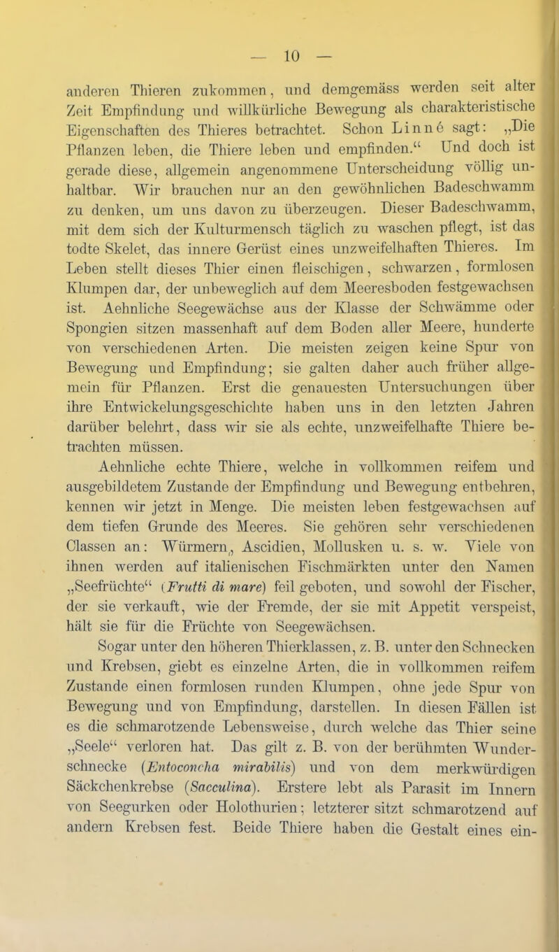 I anderen Tliieren zukommen, und demgemäss werden seit alter Zeit Empfindung und willkürliche Bewegung als charakteristische Eigenschaften des Thieres betrachtet. Schon Linne sagt: „Die Pflanzen leben, die Thiere leben und empfinden. Und doch ist gerade diese, allgemein angenommene Unterscheidung völlig un- haltbar. Wir brauchen nur an den gewöhnlichen Badeschwamm zu denken, um uns davon zu überzeugen. Dieser Badeschwamm, mit dem sich der Kulturmensch täglich zu waschen pflegt, ist das todte Skelet, das innere Grerüst eines unzweifelhaften Thieres. Im Leben stellt dieses Thier einen fleischigen, schwarzen, formlosen Klumpen dar, der unbeweglich auf dem Meeresboden festgewachsen ist. Aehnliche Seegewächse aus der Klasse der Schwämme oder Spongien sitzen massenhaft auf dem Boden aller Meere, hunderte von verschiedenen Arten. Die meisten zeigen keine Spur von Bewegung und Empfindung; sie galten daher auch früher allge- mein für Pflanzen. Erst die genauesten Untersuchungen über ihre Entwickelungsgeschichte haben uns in den letzten Jahren darüber belehrt, dass wir sie als echte, unzweifelhafte Thiere be- trachten müssen. Aehnliche echte Thiere, welche in vollkommen reifem und ausgebildetem Zustande der Empfindung und Bewegung entbehren, kennen wir jetzt in Menge. Die meisten leben festgewachsen auf dem tiefen Grunde des Meeres. Sie gehören sehr verschiedenen Classen an: Wikmern, Ascidien, Mollusken u. s. w. Viele von ihnen werden auf italienischen Fischmärkten unter den Namen „Seefrüchte (Frutti di mare) feil geboten, und sowohl der Fischer, der sie verkauft, wie der Fremde, der sie mit Appetit verspeist, hält sie für die Früchte von Seegewächsen. Sogar unter den höheren Thierklassen, z. B. unter den Schnecken und Krebsen, giebt es einzelne Arten, die in vollkommen reifem Zustande einen formlosen runden Klumpen, ohne jede Spur von Bewegung und von Empfindung, darstellen. In diesen PäUen ist es die schmarotzende Lebensweise, durch welche das Thier seine „Seele verloren hat. Das gilt z. B. von der berühmten Wunder- schnecke {Entoconcha mirdbüis) und von dem merkwüi'digen Säckchenkrebse (Sacculina). Erstere lebt als Parasit im Innern von Seegurken oder Holothurien; letzterer sitzt schmarotzend auf andern Krebsen fest. Beide Thiere haben die Gestalt eines ein-