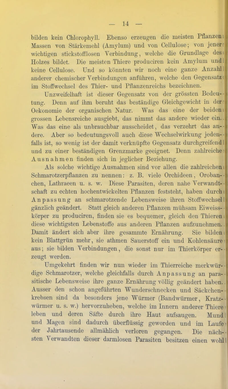 bilden kein Chlorophyll. Ebenso erzeugen die meisten Pflanzen Massen von Stärkemehl (Amylimi) und von Cellulose; von jener;y wichtigen stickstoffiosen Verbindung, welche die Grundlage des> Holzes bildet. Die meisten Thiere produciren kein Amylum und! keine Cellulose. Und so könnten wir noch eine ganze Anzahl) anderer chemischer Yerbindiingen anführen, welche den Gegensatzi im Stoffwechsel des Thier- und Pflanzenreichs bezeichnen. Unzweifelhaft ist dieser Gegensatz von der grössten Bedeu-- tung. Denn auf ihm beruht das beständige Gleichgewicht in der: Oekonomie der organischen Natur. Was das eine der beiden i grossen Lebensreiche ausgiebt, das nimmt das andere wieder ein.. Was das eine als unbrauchbar ausscheidet, das verzehrt das an-- dere. Aber so bedeutungsvoll auch diese Wechselwirkung jeden-- falls ist, so wenig ist der damit verknüpfte Gegensatz dm-chgreifend I und zu einer beständigen Grenzmarke geeignet. Denn zahh*eiche} Ausnahmen finden sich in jeghcher Beziehung. Als solche wichtige Ausnahmen sind vor allen die zahli'eichen i Schmarotzerpflanzen zu nennen: z. B. viele Orchideen, Oroban-- chen, Lathraeen u. s. w. Diese Parasiten, deren nahe Verwandt-- Schaft zu echten hochentwickelten Pflanzen feststeht, haben durch i Anpassung an schmarotzende Lebensweise ihren StofiVechsell gänzüch geändert. Statt gleich anderen Pflanzen mühsam Eiweiss- - körper zu produciren, finden sie es bequemer, gleich den Thiereni diese wichtigsten Lebenstoff'e aus anderen Pflanzen aufzunelunen.. Damit ändert sich aber ihre gesammte Ernälu-ung. Sie bilden i kein Blattgrün mehr, sie athmen Sauerstoff ein und Kohlensäure» aus; sie bilden Verbindungen, die sonst nur im Thierkörper er-- zeugt werden. Umgekelirt finden wir nun wieder im Thierreiche merkwür-- dige Schmarotzer, welche gleichfalls durch Anpassung an para-- sitische Lebensweise ihre ganze Ernähi'ung vöUig geändert haben.. Ausser den schon angefüln-ten Wunderschneeken und Säckchen-- krebsen sind da besonders jene Würmer (Bandwürmer, Ki-atz-- Würmer u. s. w.) hervorzuheben, welche im Innern anderer Thiere • leben und deren Säfte durch ihre Haut aufsaugen. Mundl und Magen sind dadurch überflüssig geworden und im Laufe- der Jahrtausende allmähhch verloren gegangen. Die näch-- sten Verwandten dieser darmlosen Pai-asiten besitzen einen wolill