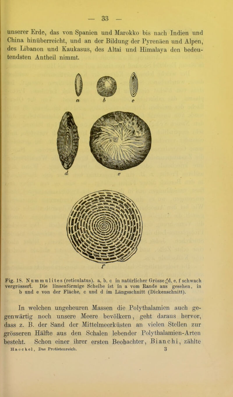 unserer Erde, das von Spanien und Marokko bis nach Indien und China hinüberreicht, und an der Bildung der Pyrenäen und Alpen, des Libanon und Kaukasus, des Altai und Himalaja den bedeu- tendsten Antheil nimmt. b und e von der Fläche, c und d im Längsschnitt (Dickenschnitt) In welchen ungeheuren Massen die Polythalamicn auch ge- genwärtig noch unsere Meere bevölkern, geht daraus hervor, dass z. B. der Sand der Mittelmeerküsten an vielen Stellen zur grösseren Hälfte aus den Schalen lebender Polythalamien-Arten besteht. Schon einer ihrer ersten Beobachter, Bianchi, zählte H a e c k 01, Das Protisteureich. 3