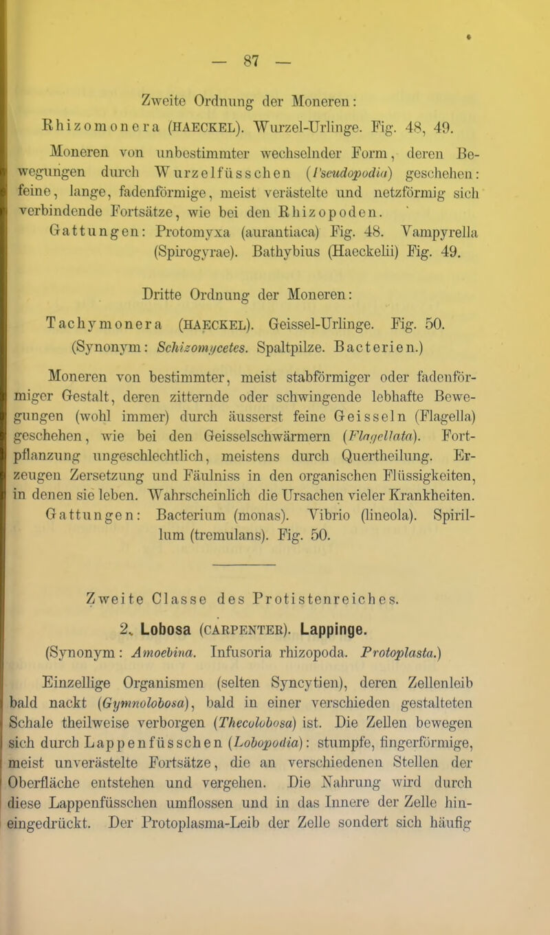 Zweite Ordnung der Moneren: Rhizomoncra (HAECKEL). Wiirzel-Urlinge. Fig. 48, 49. Moneren von unbestimmter wechselnder Form, deren Be- wegungen durch Wurzelfüsschen {l'seudopodia) geschehen: feine, lange, fadenförmige, meist verästelte und netzförmig sich verbindende Fortsätze, wie bei den ßhizopoden. Gattungen: Protomyxa (aurantiaca) Fig. 48. Vampyrella (Spirogyrae). Bathybius (Haeckehi) Fig. 49, Dritte Ordnung der Moneren: Tachymonera (HAECKEL). Geissel-Urlinge. Fig. 50. (Synonym: Schizomi/cetes. Spaltpilze. Bacterien.) Moneren von bestimmter, meist stabförmiger oder fadenför- miger Gestalt, deren zitternde oder schwingende lobhafte Bewe- gungen (wohl immer) durch äusserst feine Geis sein (Flageila) geschehen, wie bei den Geisseischwärmern (Flnf/cllata). Fort- pflanzung ungeschlechtlich, meistens durch Quertheilung. Er- zeugen Zersetzung und Fäulniss in den organischen Flüssigkeiten, in denen sie leben. Wahrscheinlich die Ursachen vieler Krankheiten. Gattungen: Bacterium (monas). Yibrio (lineola). Spiril- lum (tremulans). Fig. 50. Zweite Classe des Protistenreiches. 2, Lobosa (CARPENTER). Lappinge. (Synonym: Amoehina. Infusoria rhizopoda. Protoplasta.) Einzellige Organismen (selten Syncytien), deren Zellenleib bald nackt (Gymnolobosa), bald in einer verschieden gestalteten Schale theilweise verborgen (Thecalobosa) ist. Die Zellen bewegen sich durch Lappenfüsschen (Lobopodia): stumpfe, fingerförmige, meist unverästelte Fortsätze, die an verschiedenen Stellen der Oberfläche entstehen und vergehen. Die Nahrung wird durch diese Lappenfüsschen umflossen und in das Innere der Zelle hin- eingedrückt. Der Protoplasma-Leib der Zelle sondert sich häufig