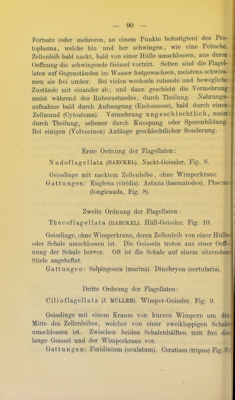 Fortsatz (oder mehreren, an einem Punkte befestigten) des Pro- toplasma, welche hin und her schwingen, wie eine Peitsche. Zellenleib bald nackt, bald von einer Hülle umschlossen, aus deren Oeffnung die schwingende Geissei vortritt. Selten sind die Flagel- laten auf Gegenständen im Wasser festgewachsen, meistens schwim- men sie frei umher. Bei vielen wechseln ruhende und bewegliche Zustände mit einander ab; und dann geschieht die Vermehrung meist während des Ruhezustandes, durch Theilung. Nahrungs- - aufnähme bald durch Aufsaugung (Endosmose), bald durch einen Zellmund (Cytostoma). Vermehrung ungeschlechtlich, meist durch Theilung, seltener durch Knospung oder Sporenbildung. Bei einigen (Volvocinen) Anfänge geschlechthcher Sonderung. Erste Ordnung der Flagellaten: Nudoflagellata (HAECKEL). Nackt-Geissler. Fig. 8. Geisslinge mit nacktem Zellenleibe, ohne Wimperkranz. Gattungen: Euglena (viridis). Astasia (haematodes). Phacus (longicauda, Fig. 8). Zweite Ordnung der Flagellaten: Thecofl agell ata (HAECKEL). Hüll-Geissler. Fig. 10. Geisslinge, ohne Wimperkranz, deren Zellenleib von einer Hülle* oder Schale umschlossen ist. Die Geissein treten aus einer Oeff-'- nung der Schale hervor. Oft ist die Schale auf einem sitzendem^ Stiele angeheftet. Gattungen: Salpingoeca (marina). Dinobryou (sertularia). Dritte Ordnung der Flagellaten: Cilioflagellata (J. MÜLLER). Wimper-Geissler. Fig. 9. Geisslinge mit einem Kranze von kurzen Wimpern um die Mitte des Zellenleibes, welcher von einer zweiklappigen Schale umschlossen ist. Zwischen beiden Schalenhälften tritt frei die lange Geissei und der Wimperkranz vor. Gattungen: Peridinium (oculatum). Ceratium (tripus) Fig. 9.