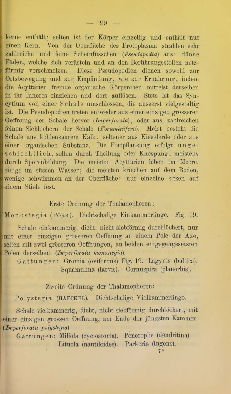 kerne enthält; selten ist der Körper einzellig und enthält nur einen Kern. Yon der Oberfläche des Protoplasma strahlen sehr zahlreiche und feine Scheinfüsschen (Pseudopodia) aus: dünne Fäden, welche sich yerästeln und an den Berührungsstellen netz- förmig verschmelzen. Diese Pseudopodien dienen sowohl zur Ortsbewegung und zur Empfindung, wie zur Ernährung, indem die Acyttarien fremde organische Körperchen mittelst derselben in ihr Inneres einziehen und dort auflösen. Stets ist das Syn- cytium von einer Schale umschlossen, die äusserst vielgestaltig ist. Die Pseudopodien treten entweder aus einer einzigen grösseren Oeffnung der Schale hervor {fmperforata), oder aus zahlreichen feinen Sieblöchern der Schale (Foraminifera). Meist besteht die Schale aus kohlensaurem Kalk, seltener aus Kieselerde oder aus einer organischen Substanz. Die Fortpflanzung erfolgt unge- schlechtlich, selten durch Theilung oder Knospung, meistens durch Sporenbildung. Die meisten Acyttarien leben im Meere, einige im süssen Wasser; die meisten kriechen auf dem Boden, wenige schwimmen an der Oberfläche; nur einzelne sitzen auf einem Stiele fest. Erste Ordnung der Thalamophoren: Monostegia (d'ORB.). Dichtschalige Einkammerlinge. Fig. 19. Schale einkammerig, dicht, nicht siebförmig durchlöchert, nur mit einer einzigen grösseren Oeffnung an einem Pole der Axe, selten mit zwei grösseren Oeffnungen, an beiden entgegengesetzten Polen derselben. {Imperforata monostegia). Gattungen: Gromia (oviformis) Fig. 19. Lagynis (baltica). Squamulina (laevis). Cornuspira (planorbis). Zweite Ordnung der Thalamophoren: Polystegia (haeckel). Dichtschalige Yielkammerhnge. Schale vielkammerig, dicht, nicht siebförmig durchlöchert, mit einer einzigen grossen Oeffnung, am Ende der jüngsten Kammer. {Imperforata polystegia). Gattungen: MiHola (cyclostoma). Peneroplis (dendritina). Lituola (nautiloides). Parkeria (ingens). 7*