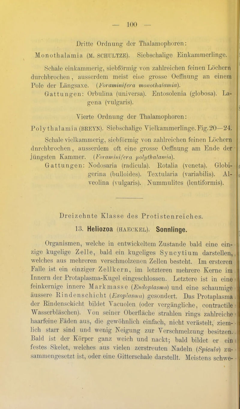 Dritte Ordnung der ThaJamophoren: Monotlialamia (M. SCHULTZE). Siebschalige Einkamracrlinge. Schale einkammerig, siebförinig von zaliii-eiclien feinen Löchern durchbrochen, ausserdem meist eine grosse Oefl'nung an einem Pole der Längsaxe. {Foraminifcra monoihalmnia). Gattungen: Orbulina (universa). Entosolenia (globosa). La- gena (vulgaris). Vierte Ordnung der Thalamophoren: Polythalamia (BREYN). Siebschalige Vielkammerlinge.Fig.20—24 Schale vielkammerig, siebförmig von zahlreichen feinen Löchern dnrchbrochen, ausserdem oft eine grosse Oeffnung am Ende der jüngsten Kammer. {Vovaminifera polyihalamia). Gattungen: Nodosaria (radicula). Eotalia (veneta). Globi- gerina (buUoides). Textularia (variabilis). Al- veohna (vulgaris). Nummulites (lentiforniis). Dreizehnte Klasse des Protistenreiches. lo. Heliozoa (haeckel). Sonnlinge. Organismen, welche in entwickeltem Zustande bald eine ein- ■ zige kugelige Zelle, bald ein kugeliges Syncytium darstellen,, welches aus mehreren verschmolzenen Zellen besteht. Im ersteren Falle ist ein einziger Zellkern, im letzteren mehrere Kerne im. Innern der Protaplasma-Kugel eingeschlossen. Letztere ist in eine i feinkernige innere Markmasse {Enäoplasma) und eine schaumige' äussere Rindenschicht [Exoplasmu) gesondert. Das Protaplasma i der Rindenschicht bildet Yacuolen (oder vergängliche, contractile; Wasserbläschen). Von seiner Oberfläche strahlen rings zahlreiche» haarfeine Fäden aus, die gewöhnlich einfach, nicht verästelt, ziem- - lieh starr sind und wenig Neigung zur Yerschmelzung besitzen.. Bald ist der Körper ganz weich und nackt; bald bildet er ein i festes Skelet, welches aus vielen zerstreuten Nadeln (Spiciila) zu- sammengesetzt ist, oder eine Gitterschale darstellt. Meistens schwe-