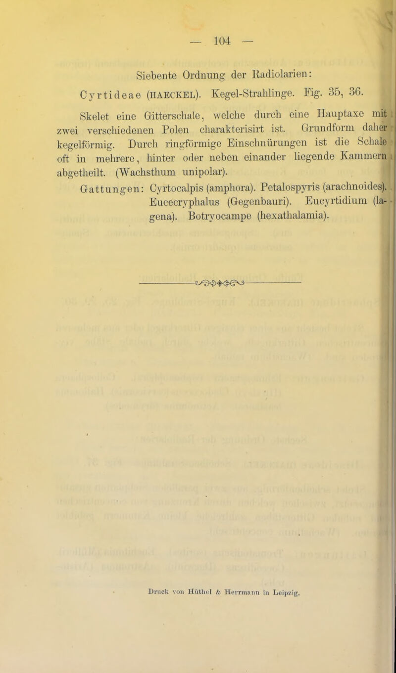 Siebente Ordnung der Radiolarien: Cyrtideae (haeckel). Kegel-Strahlinge. Fig. 35, 30. Skelet eine Gitterschale, welche durch eine Hauptaxe mit l| zwei verschiedenen Polen charakterisirt ist. Grundform daher kegelförmig. Durch ringförmige Einsclmüiimgen ist die Schale j oft in mehrere, liinter oder neben einander liegende Kammern abgetheilt. (Wachsthum unipolar). Gattungen: Cyrtocalpis (amphora). Petalospyris (arachnoides).. Eucecryphalus (Gegenbauri). Eucyrtidium (la-• gena). Botiyocampe (hexathalamia). Druck von HiUlu^I & Herrinaiin in Leipzig,
