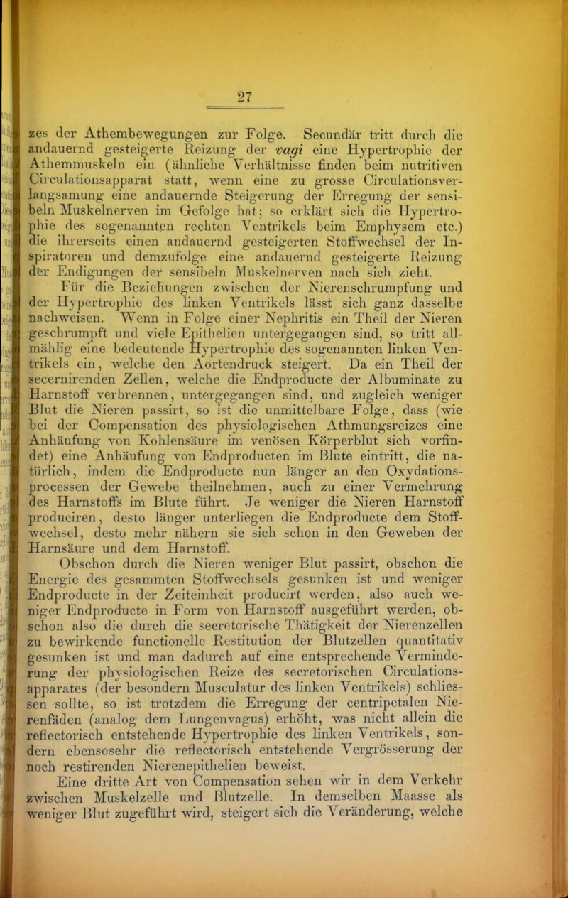 zes der Athembewegungen zur Folge. Secimdär tritt durch die andauernd gesteigerte Reizung der vagt eine Hypertrophie der Athemmuskeln ein (ähnliche Verhältnisse finden beim nutritiven Circulatlonsapparat statt, wenn eine zu grosse Circulationsver- langsaniung eine andauernde Steigerung der Erregung der sensi- beln Muskelnerven im Gefolge hat; so erklärt sich die Hypertro- hie des sogenannten rechten Ventrikels beim Emphysem etc.) ie ihrerseits einen andauernd gesteigerten Stoffwechsel der In- spiratoren und demzufolge eine andauernd gesteigerte Reizung der Endigungen der sensibeln Muskelnerven nach sich zieht. Für die Beziehungen zwischen der .Nierenschrumpfung und der Hypertrophie des linken Ventrikels lässt sich ganz dasselbe nachweisen. Wenn in Folge einer Nephritis ein Theil der Nieren geschrumpft und viele Epltheiien untergegangen sind, so tritt all- mählig eine bedeutende Hypertrophie des sogenannten linken Ven- trikels ein, welche den Aortendruck steigert. Da ein Theil der secernircnden Zellen, welche die Endproducte der Albuminate zu Harnstoff verbrennen, untergegangen sind, und zugleich weniger Blut die Nieren passirt, so ist die unmittelbare Folge, dass (wie bei der Compensation des physiologischen Athmungsreizes eine Anhäufung von Kohlensäure im venösen Körperblut sich vorfin- det) eine Anhäufung von Endproducten im Blute eintritt, die na- türlich , indem die Endproducte nun länger an den Oxydatlons- processen der Gewebe thellnehmen, auch zu einer Vermehrung des Harnstoffs im Blute führt. Je weniger die Nieren Harnstoff produciren, desto länger unterliegen die Endproducte dem Stoff- wechsel, desto mehr nähern sie sich schon in den Geweben der Harnsäure und dem Harnstoff. Obschon durch die Nieren weniger Blut passirt, obschon die Energie des gesammten Stoffwechsels gesunken ist und weniger Endproducte in der Zeiteinheit producirt werden, also auch we- niger Endproducte in Form von Harnstoff ausgeführt werden, ob- schon also die durch die secretorlsche Thätigkelt der Nierenzellon zu bewirkende functlonelle Restitution der Blutzöllen quantitativ gesunken ist und man dadurch auf eine entsprechende Verminde- rung der physiologischen Reize des secretorlschcn Circulatlons- apparates (der besondern Musculatur des linken Ventrikels) schlies- sen sollte, so ist trotzdem die Erregung der centripetalen Nie- renfäden (analog dem Lungenvagus) erhöht, was nicht allein die reflectorisch entstehende Hypertrophie des linken Ventrikels, son- dern ebensosehr die reflectorisch entstehende Vergrösserung der noch restirenden Nierenepithelien beweist. Eine dritte Art von Compensation sehen wir in dem Verkehr zwischen Muskelzclle und Blutzelle. In demselben Maasse als weniger Blut zugeführt wird, steigert sich die Veränderung, welche