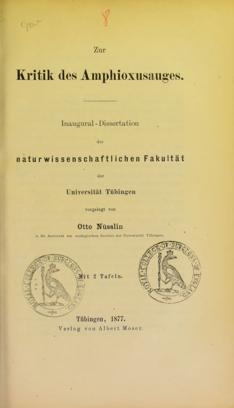 Zur Kritik des Amphioxusauges. Inaugural - Dissertation der naturwissenschaftlichen Fakultät der Universität Tübingen vorgelegt von Otto Nüsslin ' » z. Zt. Assistent Rill zoologischen Institut ilei- Universität Tübingen. Verlag von Albert Moser.