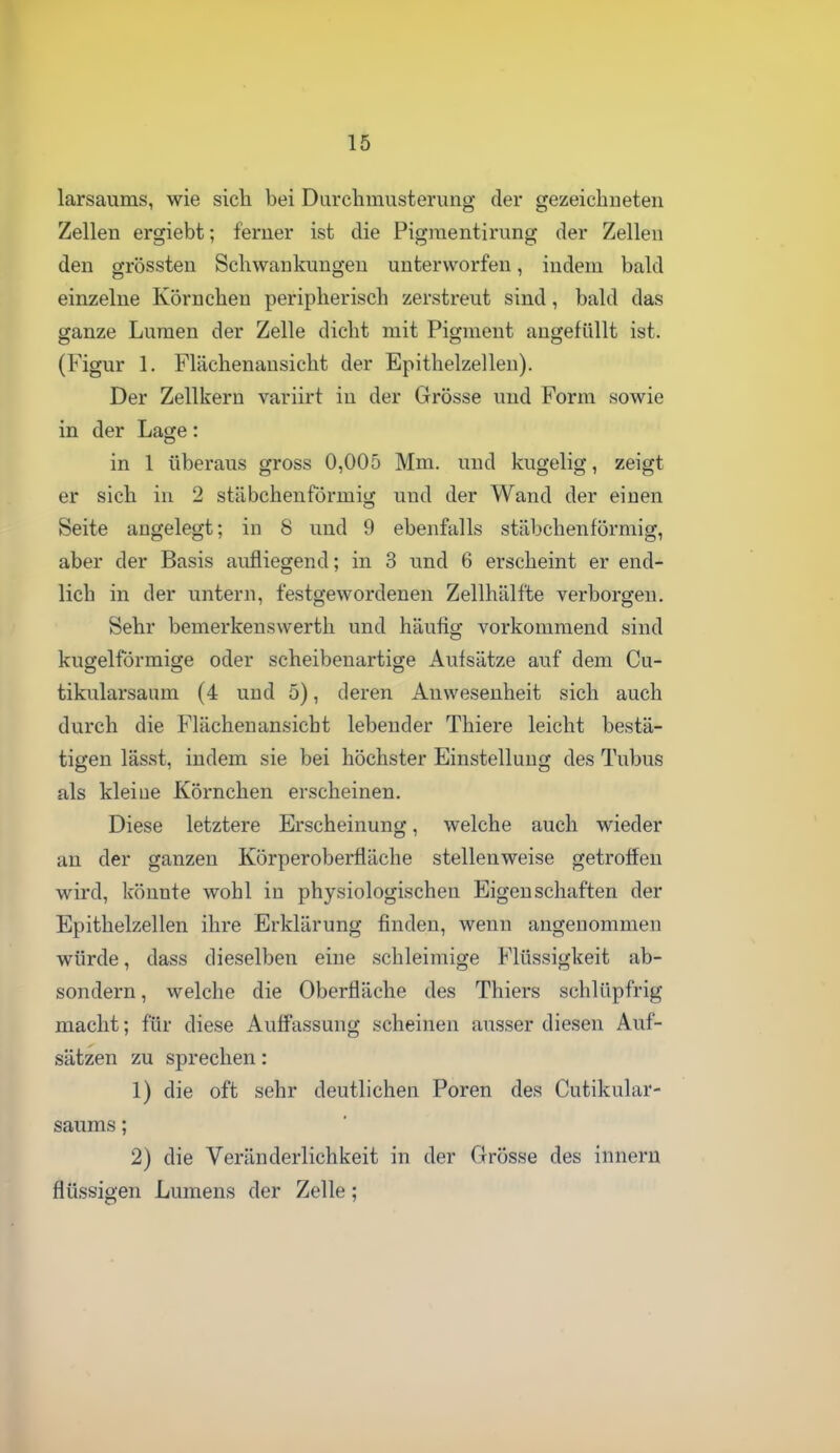 16 larsaums, wie sich bei Darchmusterung der gezeichneten Zellen ergiebt; ferner ist die Pigraentirung der Zellen den grössten Schwankungen unterworfen, indem bald einzelne Körnchen peripherisch zerstreut sind, bald das ganze Lumen der Zelle dicht mit Pigment angefüllt ist. (Figur 1. Flächenansicht der Epithelzellen). Der Zellkern variirt iu der Grösse und Form sowie in der Lage: in 1 überaus gross 0,005 Mm. und kugelig, zeigt er sich in 2 stäbchenförmig und der Wand der einen Seite angelegt; in 8 und 9 ebenfalls stäbchenförmig, aber der Basis aufliegend; in 3 und 6 erscheint er end- lich in der untern, festgewordenen Zellhälfte verborgen. Sehr bemerkenswerth und häufig vorkommend sind kugelförmige oder scheibenartige Aufsätze auf dem Cu- tikularsaum (4 und 5), deren Anwesenheit sich auch durch die Flächenansicht lebender Thiere leicht bestä- tigen lässt, indem sie bei höchster Einstellung des Tubus als kleiue Körnchen erscheinen. Diese letztere Erscheinung, welche auch wieder an der ganzen Körperoberfläche stellenweise getroffen wird, könnte wohl in physiologischen Eigenschaften der Epithelzellen ihre Erklärung finden, wenn angenommen würde, dass dieselben eine schleimige Flüssigkeit ab- sondern , welche die Oberfläche des Thiers schlüpfrig macht; für diese Auffassung scheinen ausser diesen Auf- sätzen zu sprechen: 1) die oft sehr deutlichen Poren des Cutikular- saums; 2) die Veränderlichkeit in der Grösse des inneru flüssigen Lumens der Zelle;