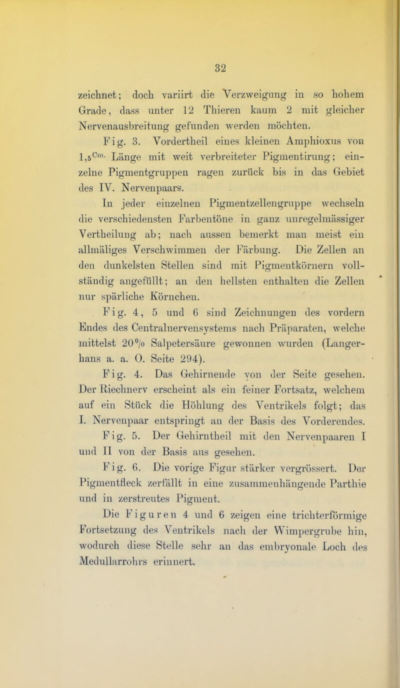zeichnet; doch variirt die Verzweigung in so hohem Grade, dass unter 12 Thieren kaum 2 mit gleicher Nervenausbreitung gefunden werden möchten. Fig. 3. Vordertheil eines kleinen Araphioxus von 1,5^'- Länge mit weit verbreiteter Pigmentirung; ein- zelne Pigmentgruppen ragen zurück bis in das Gebiet des IV. Nervenpaars. In jeder einzelnen Pigmentzellengruppe wechseln die verschiedensten Farbentöne in ganz unregelmässiger Vertheiluug ab; nach aussen bemerkt man meist ein allmäliges Verschwimmen der Färbung. Die Zellen an den dunkelsten Stellen sind mit Pigmentkörnern voll- ständig angefüllt; an den hellsten enthalten die Zellen nur spärliche Körnchen. Fig. 4, 5 und 6 sind Zeichnungen des vordem Endes des Centrainervensystems nach Präparaten, welche mittelst 20°/o Salpetersäure gewonnen wurden (Langer- hans a. a. 0. Seite 294). Fig. 4. Das Gehirnende von der Seite gesehen. Der Riechnerv erscheint als ein feiner Fortsatz, welchem auf ein Stück die Höhlung des Ventrikels folgt; das I. Nervenpaar entspringt an der Basis des Vordereudes. Fig. 5. Der Gehirntheil mit den Nervenpaaren I und II von der Basis aus gesehen. Fig. 6. Die vorige Figur stärker vergrössert. Der Pigmentfleck zerfällt in eine zusammenhängende Parthie und in zerstreutes Pigment. Die Figuren 4 und 6 zeigen eine trichterförmige Fortsetzung des Ventrikels nach der Wimpergrube hin, wodurch diese Stelle sehr an das embryonale Loch des MeduUarrohrs erinnert.