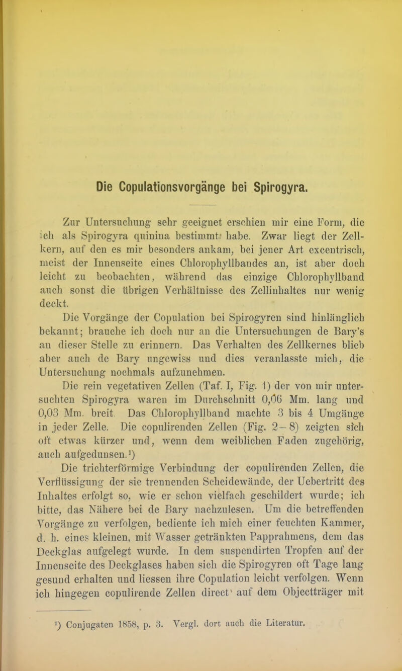 Zur Untersuchung- sehr geeignet erschien mir eine Form, die ich als Spirogyra quinina bestimmt' habe. Zwar liegt der Zell- kern, auf den es mir besonders ankam, bei jener Art excentrisch, meist der Innenseite eines Chlorophyllbandes an, ist aber doch leicht zu beobachten, während das einzige Chlorophyllband auch sonst die übrigen Verhältnisse des Zellinhaltes nur wenig deckt. Die Vorgänge der Copulation bei Spirogyren sind hinlänglich bekannt; brauche ich doch nur an die Untersuchungen de Bary’s an dieser Stelle zu erinnern. Das Verhalten des Zellkernes blieb aber auch de Bary ungewiss und dies veranlasste mich, die Untersuchung nochmals aufzunehmen. Die rein vegetativen Zellen (Taf. I, Fig. 1) der von mir unter- suchten Spirogyra waren im Durchschnitt 0,06 Mm. lang und 0,03 Mm. breit Das Chlorophyllband machte 3 bis 4 Umgänge in jeder Zelle. Die copulirenden Zellen (Fig. 2—8) zeigten sich oft etwas kürzer und, w'enn dem weiblichen Faden zugehörig, auch aufgedunsen.’) Die trichterförmige Verbindung der copulirenden Zellen, die Verflüssigung der sie trennenden Scheidewände, der Uebertritt des Inhaltes erfolgt so, wie er schon vielfach geschildert wurde; ich bitte, das Nähere bei de Bary nachzulesen. Um die betreffenden Vorgänge zu verfolgen, bediente ich mich einer feuchten Kammer, d. h. eines kleinen, mit Wasser getränkten Papprahmens, dem das Deckglas aufgelegt wurde. In dem suspendirten Tropfen auf der Innenseite des Deckglases haben sich die Spirogyren oft Tage lang gesund erhalten und Hessen ihre Copulation leicht verfolgen. Wenn ich hingegen copulirende Zellen direct' auf dem Objectträger mit
