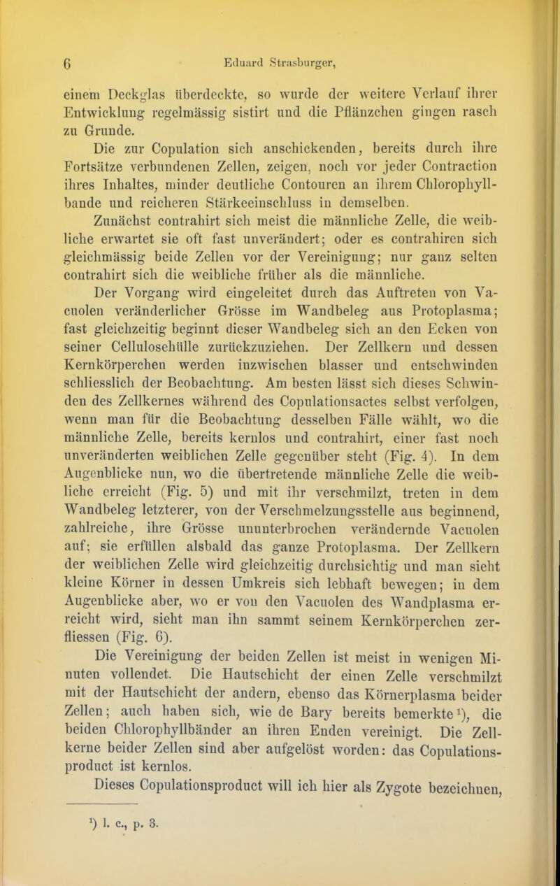 einem Deckglas überdeckte, so wurde der weitere Verlauf ihrer Entwicklung regelmässig sistirt und die Pflänzchen gingen rasch zu Grunde. Die zur Copulation sich anschickenden, bereits durch ihre Fortsätze verbundenen Zellen, zeigen, noch vor jeder Contraction ihres Inhaltes, minder deutliche Contouren an ihrem Chlorophyll- bande und reicheren Stärkeeinschluss in demselben. Zunächst contrahirt sich meist die männliche Zelle, die weib- liche erwartet sie oft fast unverändert; oder es contrahiren sich gleichmässig beide Zellen vor der Vereinigung; nur ganz selten contrahirt sich die weibliche früher als die männliche. Der Vorgang wird eingeleitet durch das Auftreten von Va- cuolen veränderlicher Grösse im Wandbeleg aus Protoplasma; fast gleichzeitig beginnt dieser Wandbeleg sich an den Ecken von seiner Cellulosehülle zurückzuziehen. Der Zellkern und dessen Kernkörperchen werden inzwischen blasser und entschwinden schliesslich der Beobachtung. Am besten lässt sich dieses Schwin- den des Zellkernes während des Copulationsactes selbst verfolgen, wenn man für die Beobachtung desselben Fälle wählt, wo die männliche Zelle, bereits kernlos und contrahirt, einer fast noch unveränderten weiblichen Zelle gegenüber steht (Fig. 4). In dem Augenblicke nun, wo die übertretende männliche Zelle die weib- liche erreicht (Fig. 5) und mit ihr verschmilzt, treten in dem Wandbeleg letzterer, von der Versclimelzungsstelle aus beginnend, zahlreiche, ihre Grösse ununterbrochen verändernde Vacuolen auf; sie erfüllen alsbald das ganze Protoplasma. Der Zellkern der weiblichen Zelle wird gleichzeitig durchsichtig und man sieht kleine Körner in dessen Umkreis sich lebhaft bewegen; in dem Augenblicke aber, wo er von den Vacuolen des Waudplasma er- reicht wird, sieht man ihn sammt seinem Kernkörperchen zer- fliessen (Fig. C). Die Vereinigung der beiden Zellen ist meist in wenigen Mi- nuten vollendet. Die Hautschicht der einen Zelle verschmilzt mit der Hautschicht der andern, ebenso das Körnerplasma beider Zellen; auch haben sich, wie de Bary bereits bemerkte^), die beiden Chlorophyllbänder an ihren Enden vereinigt. Die Zell- kerne beider Zellen sind aber aufgelöst worden: das Copulations- product ist kernlos. Dieses Copulationsproduct will ich hier als Zygote bezeichnen,