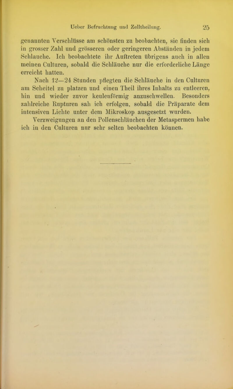 genannten Verschlüsse am schönsten zu beobachten, sie finden sich in grosser Zahl und grösseren oder geringeren Abständen in jedem Schlauche. Ich beobachtete ihr Auftreten übrigens auch in allen meinen Culturen, sobald die Schläuche nur die erforderliche Länge erreicht hatten. Nach 12—24 Stunden pflegten die Schläuche in den Culturen am Scheitel zu platzen und einen Theil ihres Inhalts zu entleeren, hin und wieder zuvor keulenförmig anzuschwellen. Besonders zahlreiche Rupturen sah ich erfolgen, sobald die Präparate dem intensiven Liehte unter dem Mikroskop ausgesetzt wurden. Verzweigungen an den Pollenschläuchen der Metaspermen habe ich in den Culturen nur sehr selten beobachten können.