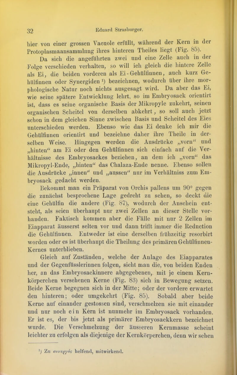 hier von einer grossen Vacuole erfüllt; während der Kern in dei Protoplasmaansammlimg ihres hinteren Theiles liegt (Fig. 85). Da sich die angeführten zwei und eine Zelle auch in der Folge verschieden verhalten; so will ich gleich die hintere Zelle als Ei; die beiden vorderen als Ei - GehüHinnen; auch kurz Ge- hülfinneu oder Synergiden bezeichnen; wodurch über ihre mor- phologische Natur noch nichts ausgesagt wird. Da aber das Ei, wie seine spätere Entwicklung lehrt, so im Embryosack orientirt ist, dass es seine organische Basis der Mikropyle zukehrt, seinen organischen Scheitel von derselben abkehrt, so soll auch jetzt schon in dem gleichen Sinne zwischen Basis und Scheitel des Eies unterschieden werden. Ebenso wie das Ei denke ich mir die Gehülfinnen orientirt und bezeichne daher ihre Theile in der- selben Weise. Hingegen werden die Ausdrücke „voriF^ und „hinteiF^ am Ei oder den Gehülfinnen sich einfach auf die Ver- hältnisse des Embryosackes beziehen, an dem ich „vorn^' das Mikropyl-Ende, „hinten“ das Chalaza-Eiide nenne. Ebenso sollen die Ausdrücke „innen“ und „aussen“ nur im Verhältniss zum Em- bryosack gedacht werden. Bekommt man ein Präparat von Orchis pallens um 90*^ gegen die zunächst besprochene Lage gedreht zu sehen, so deckt die eine Gehülfin die andere (Fig. 87), wodurch der Anschein ent- steht, als seien überhaupt nur zwei Zellen an dieser Stelle vor- handen. Faktisch kommen aber die Fälle mit nur 2 Zellen im Eiapparat äusserst selten vor und dann trifft immer die Reduction die Gehülfinnen. Entweder ist eine derselben frühzeitig resorbirt worden oder es ist überhaupt die Tlieilung des primären Gehülfinnen- Kernes unterblieben. Gleich auf Zuständen, welche der Anlage des Eiapparates und der Gegenfüsslerinnen folgen, sieht man die, von beiden Enden her, an das Embryosackinnere abgegebenen, mit je einem Kern- körperchen versehenen Kerne (Fig. 83) sich in Bewegung setzen. Beide Kerne begegnen sich in der Mitte; oder der vordere erwartet den hinteren; oder umgekehrt (Fig. 85). Sobald aber beide Kerne auf einander gestossen sind, verschmelzen sie mit einander und nur noch ein Kern ist nunmehr im Embryosack vorhanden. Er ist es, der bis jetzt als primärer Embryosackkern bezeichnet wurde. Die Verschmelzung der äusseren Kernmassc scheint leichter zu erfolgen als diejenige der Kernkörperchen, denn wir sehen 9 Zu ovi'SQY^s helfend, mitwirkend.